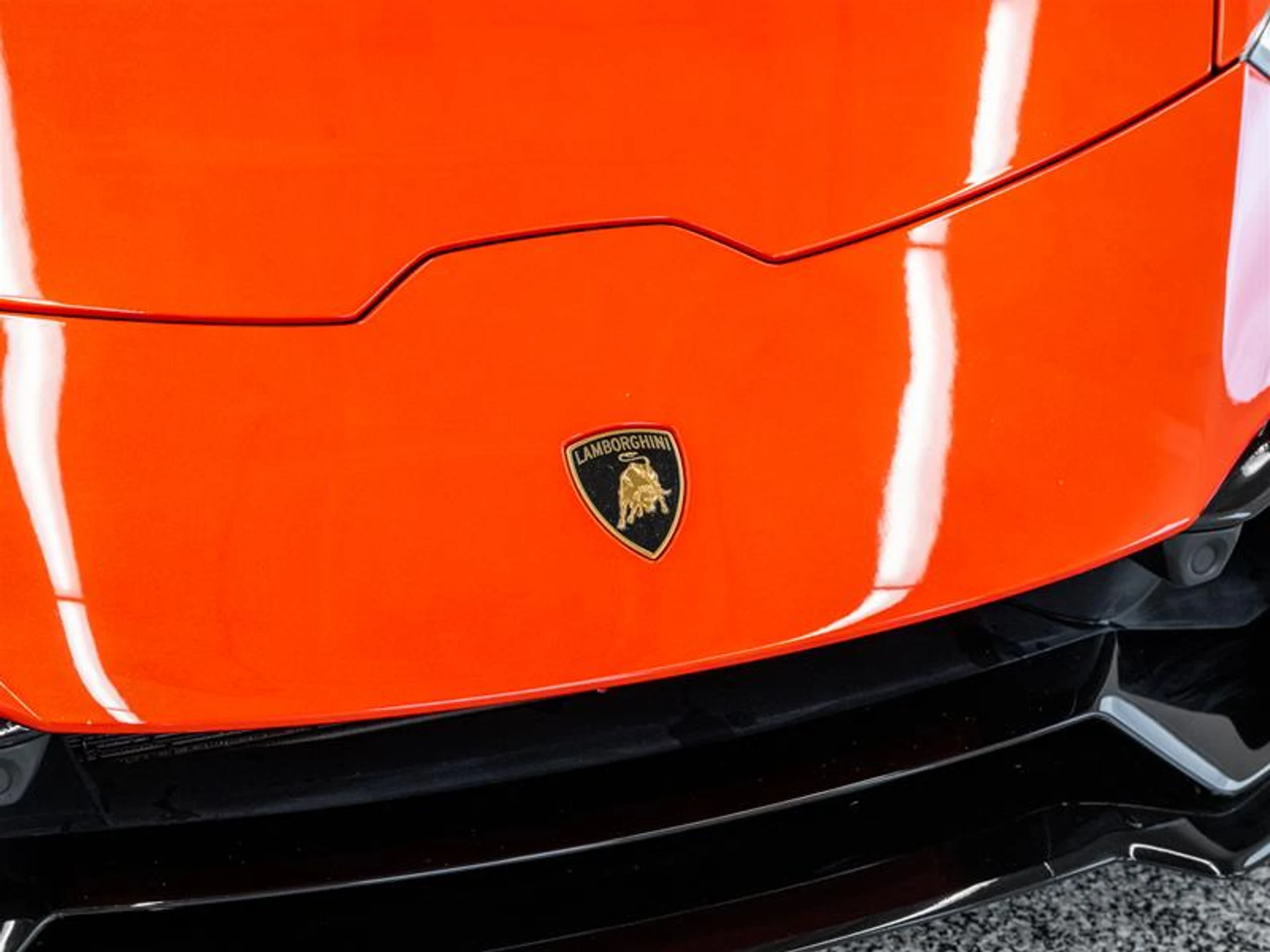 mph028_4263586266_11888226_1640334220_1351e1d672