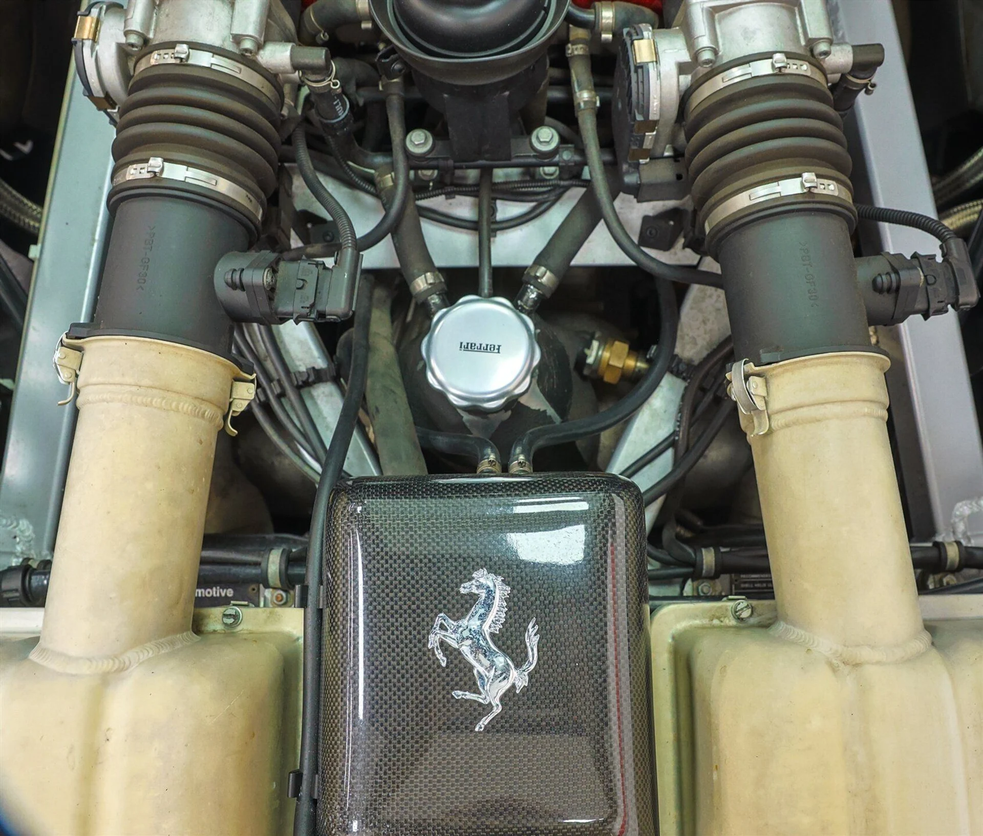 mph028_456903510_520943c6f3_1920_d07ce86931