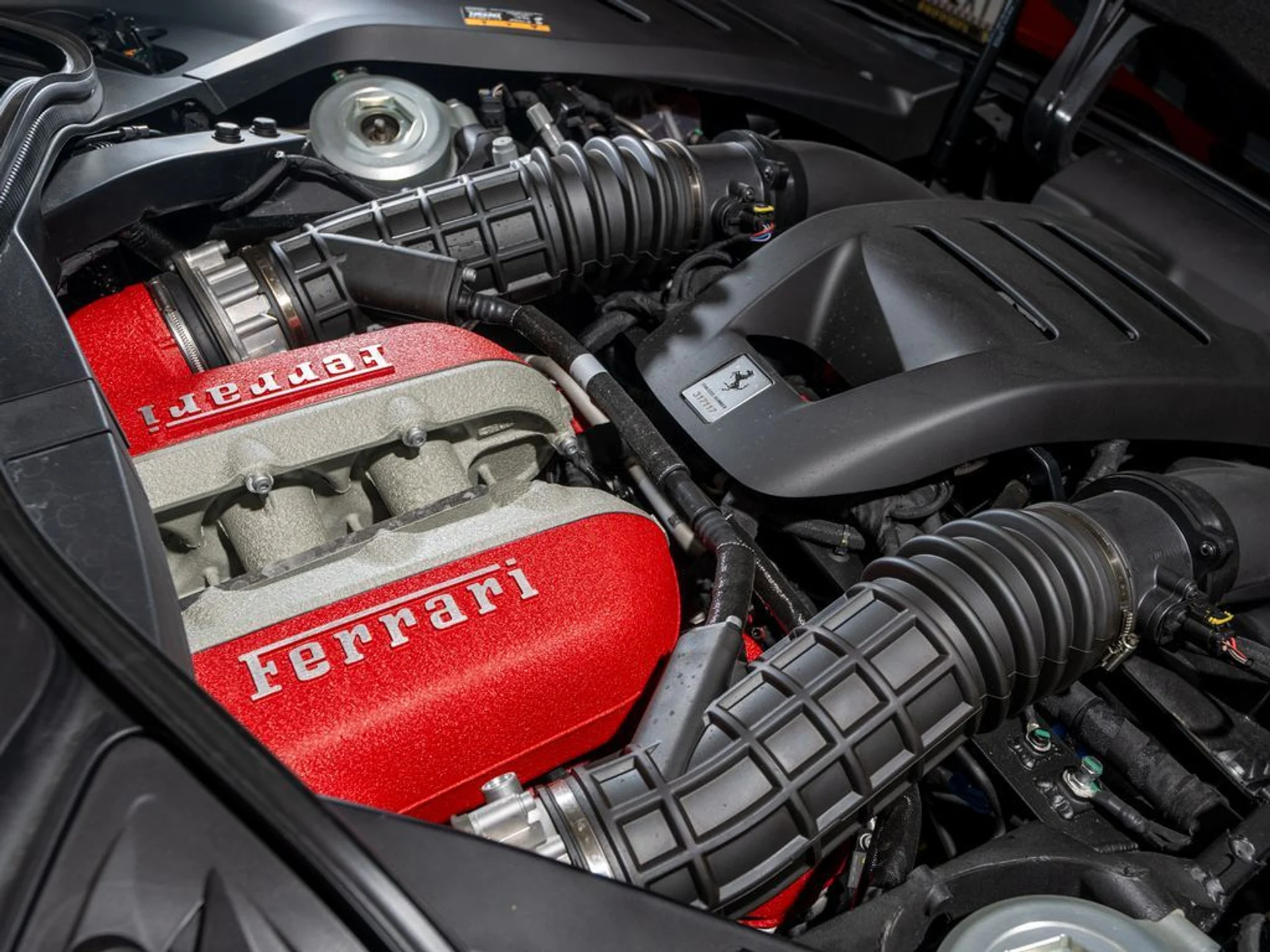 mph028_591675620_3daf2653_5159_4c94_8cc8_c38b994a7ead_52e9688b66