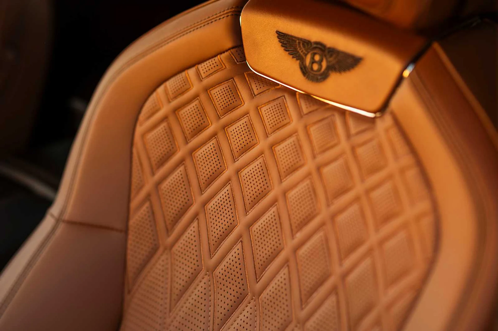 mph028_631257983_e7a0bf99aff94872d62df5186b939d50x_e2b26562e7