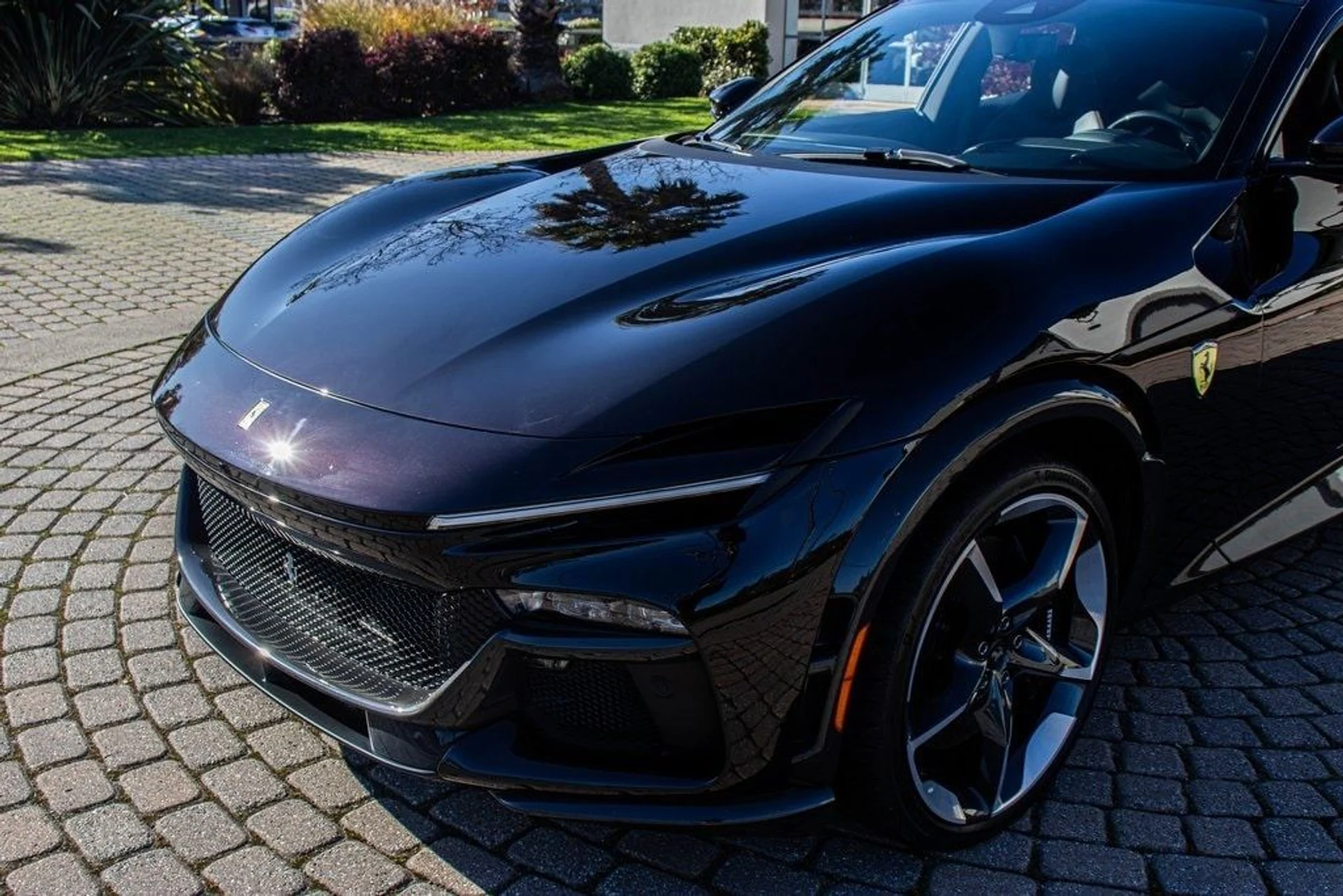 mph028_735892814_1d3caf719d50f9043c4c7fa078b002bax_591589141b