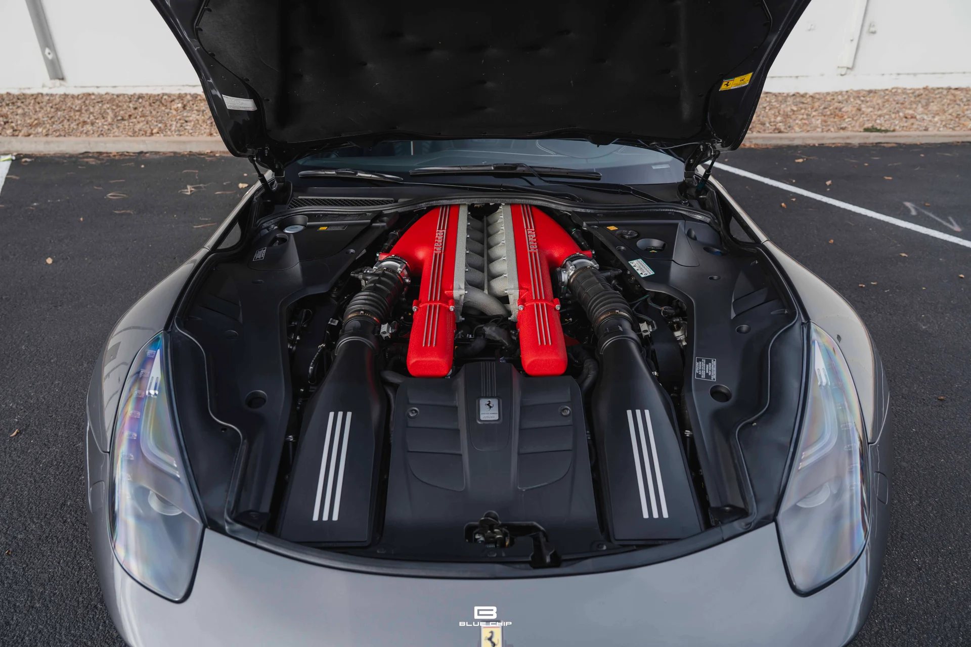 mph029_1063878502_693af97f84b0d87473ef07b2_DSC_04967_62e7a05472