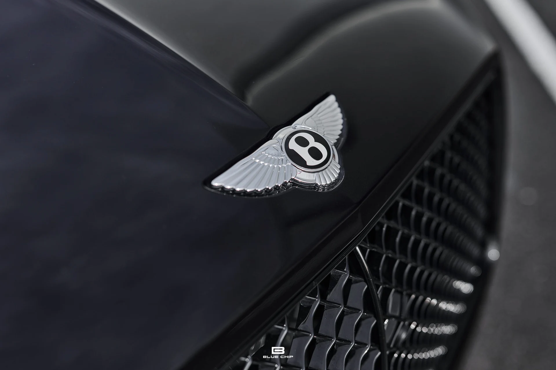 mph029_1167490896_69bb1a3afb7c00c3691e766d_DSC_7323_c1cdd9fc34