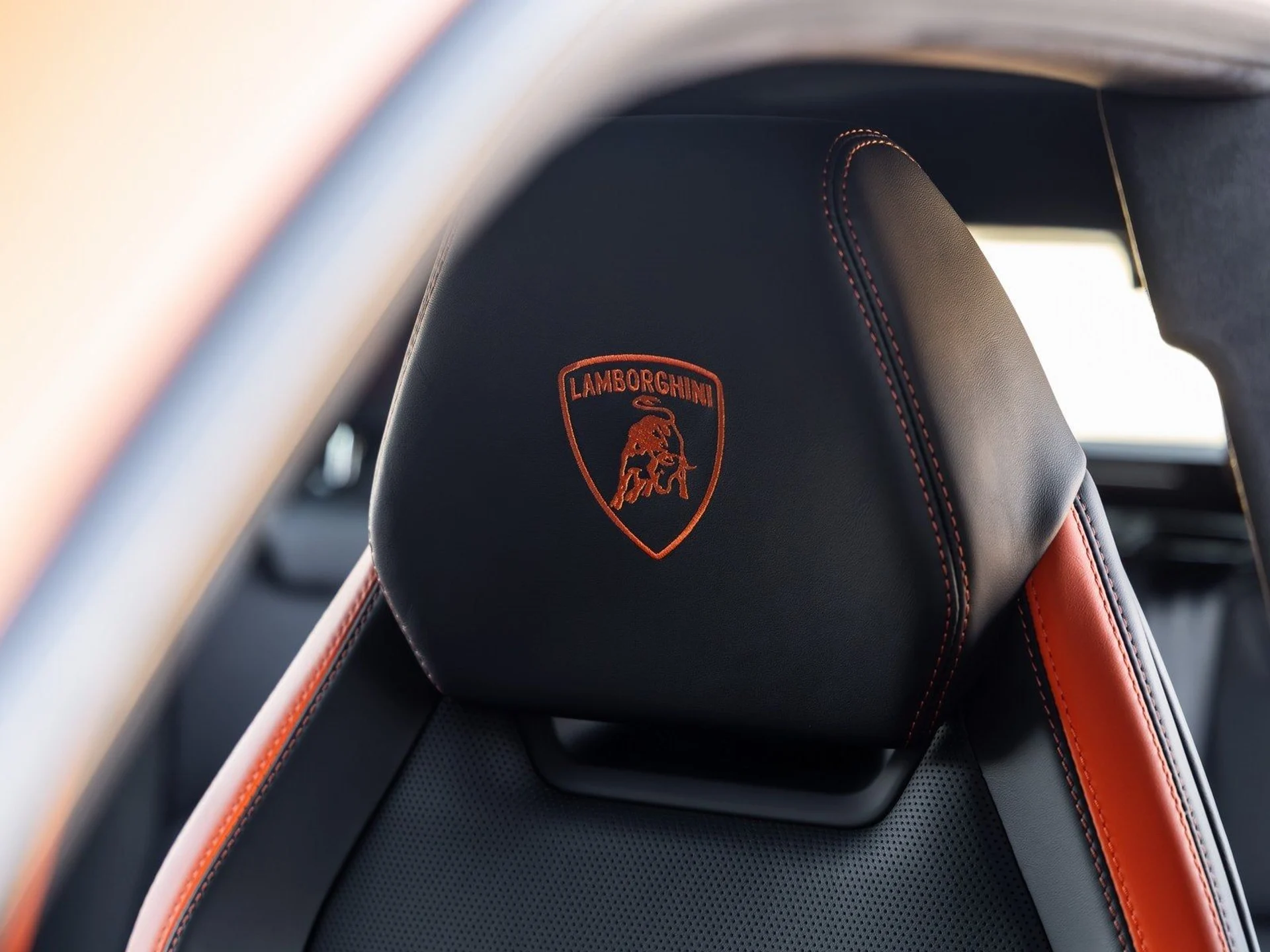 mph029_1266914537_30_505f004c5c