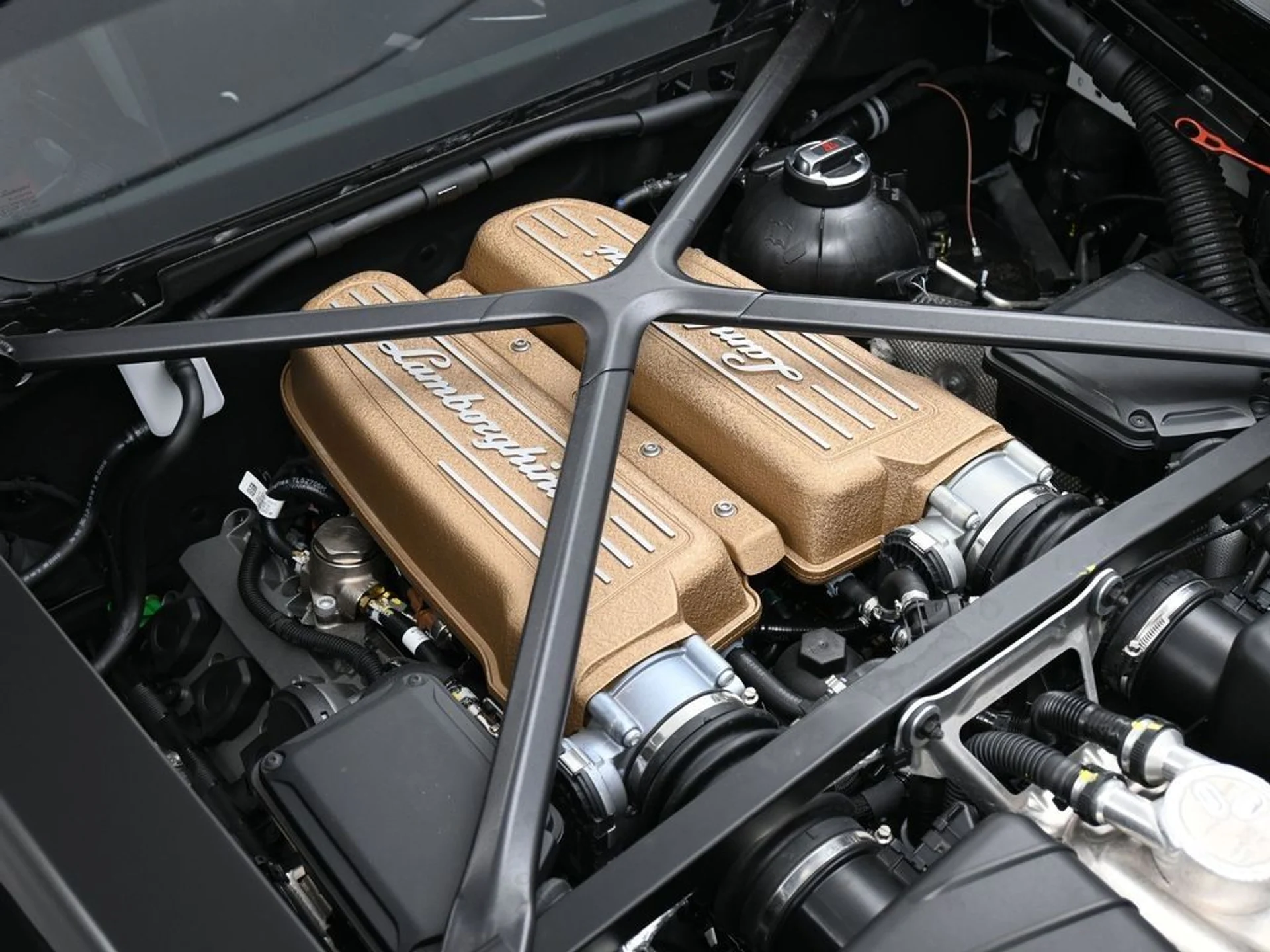 mph029_1268248949_88f2aa29d63d01a788a3c894b3a01556_026cd02c36