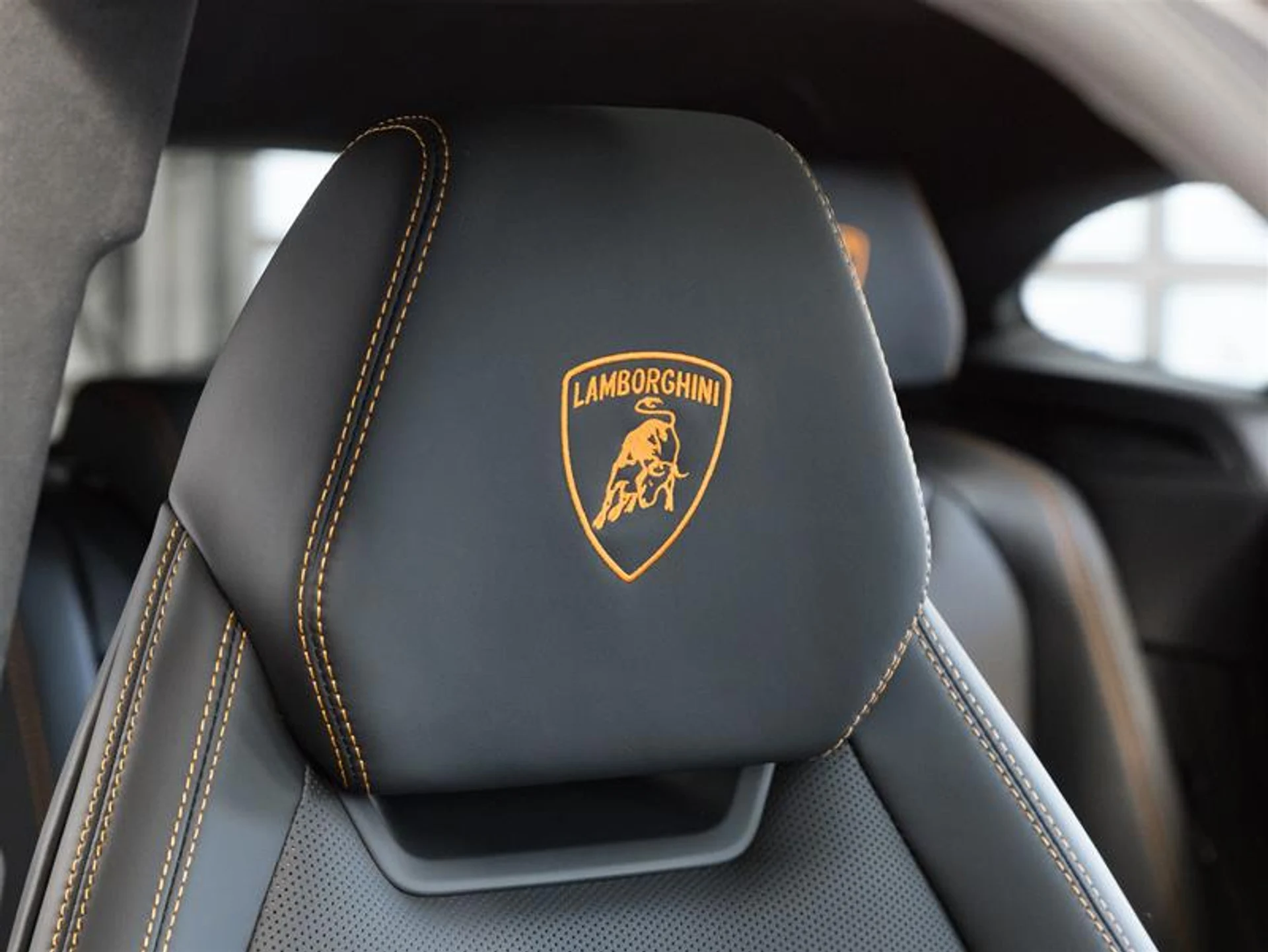 mph029_1293678239_10944895_1594274975_e688c796f2