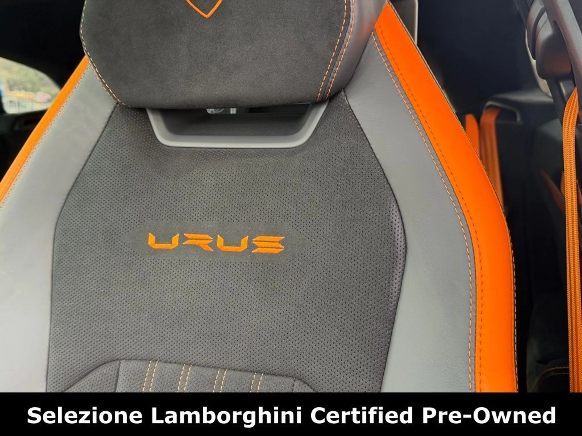 mph029_1340648693_146e6a2ba40e0b1a0d1d519e837db4dax_c7cf7115fb