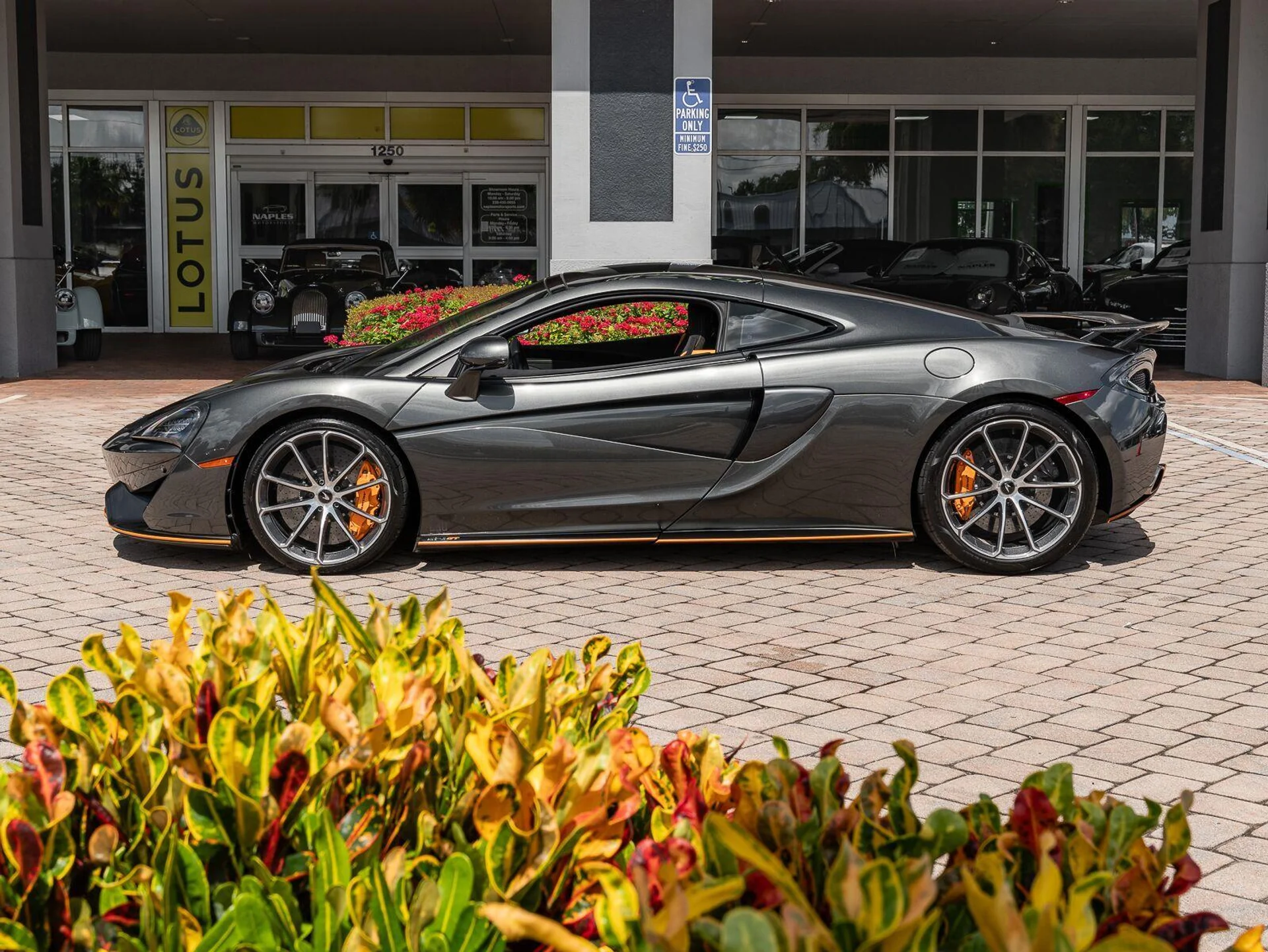 mph029_1358407521_Used_2019_Mc_Laren_570_GT_Coupe_1785532150_a5c8308297
