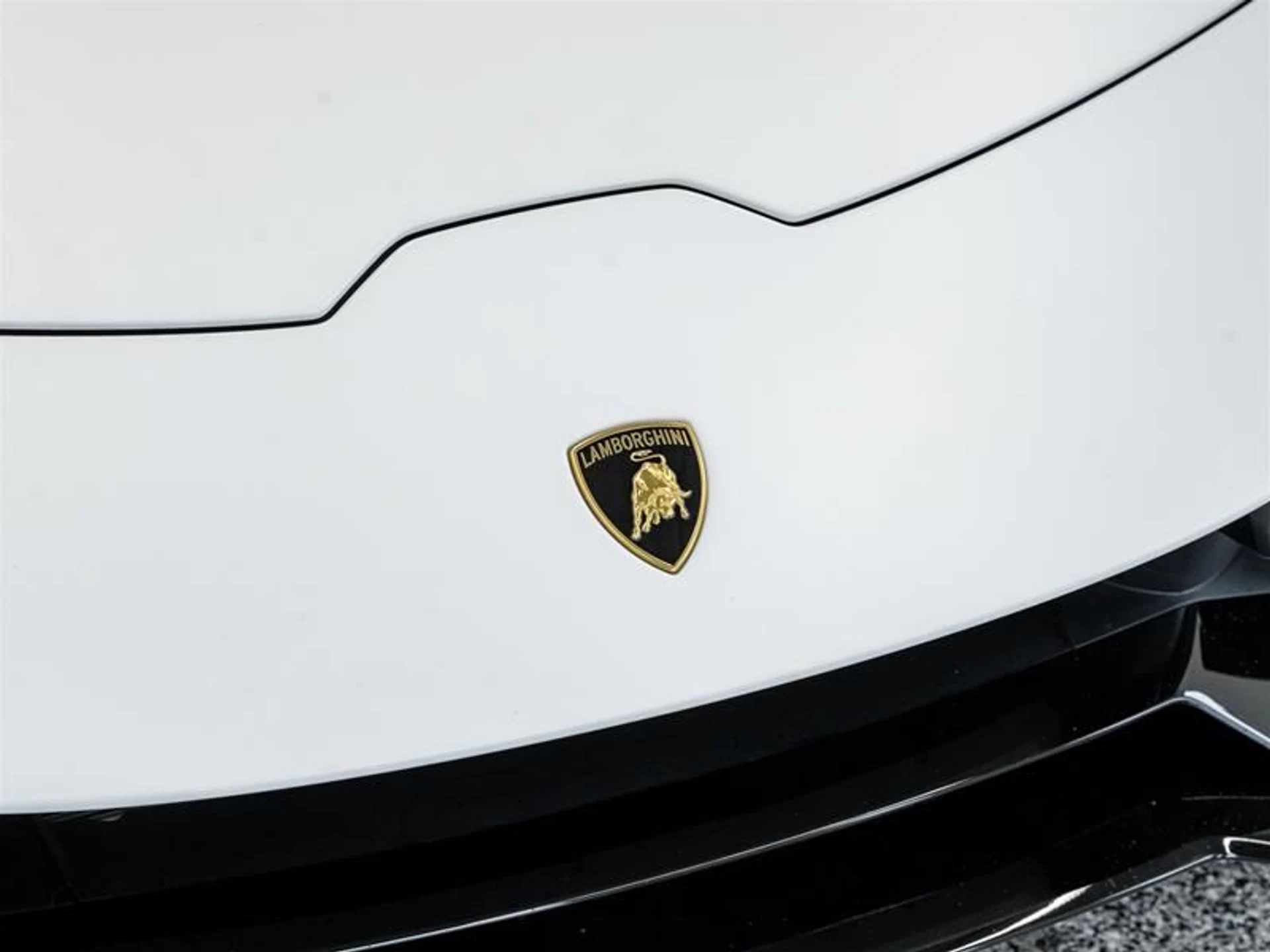 mph029_1446828147_11902086_1640334179_8264009878