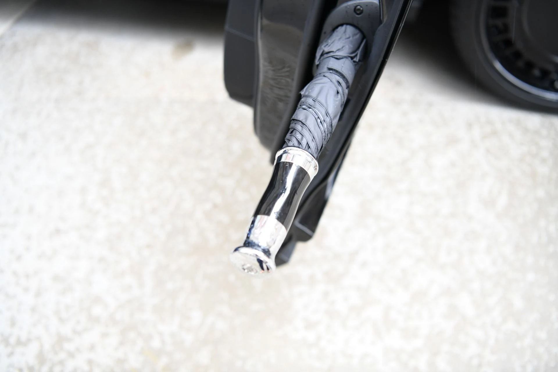 mph029_1667342359_11928_p31_l_859f609de5