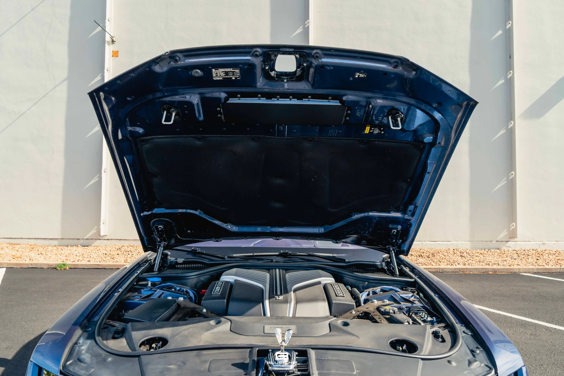 mph029_170982956_688b809c27c9e9e86b5954d0_DSC_09455_a68f58a9e5