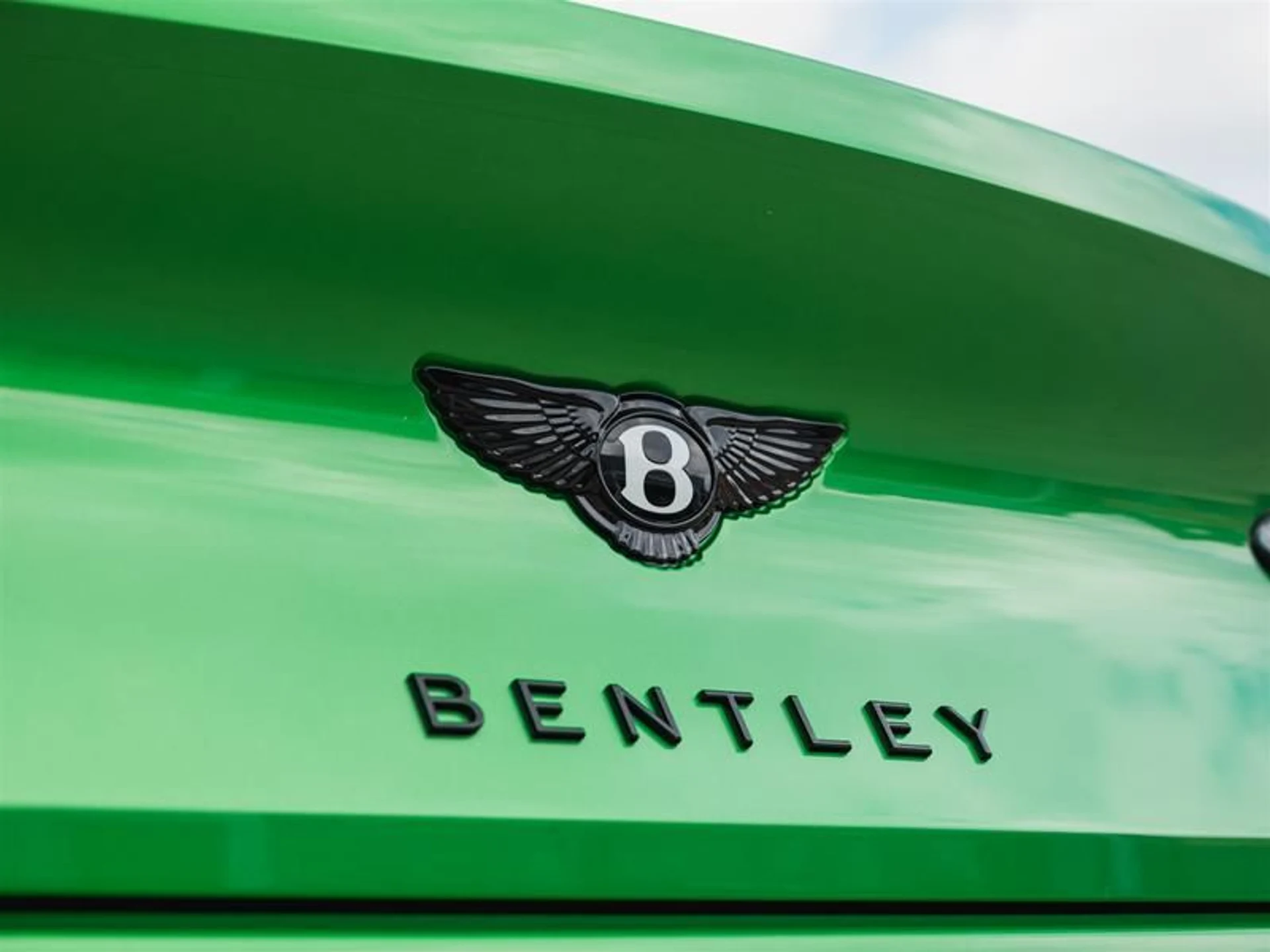 mph029_1739607055_3zokbglw_8ec11c8a13