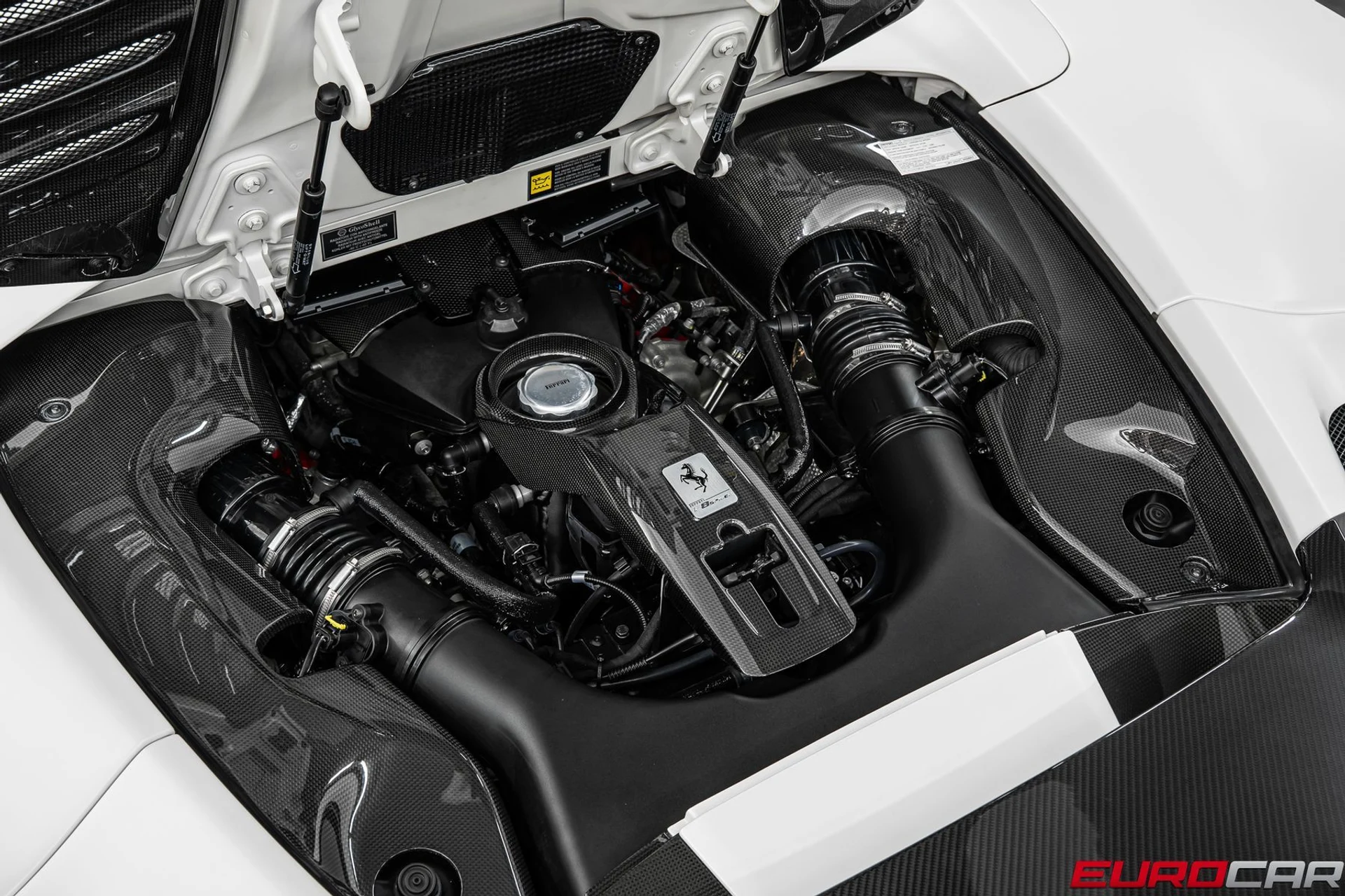 mph029_1929633236_ea722385_1324_4840_8c66_865c144e8d50_ed71c9edfe