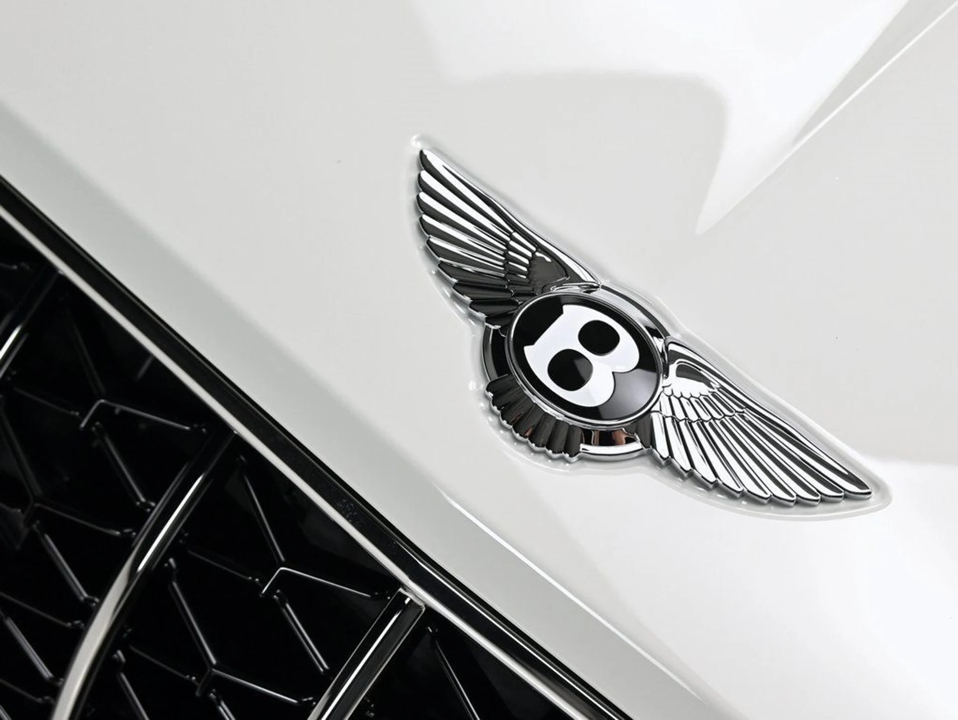 mph029_2026934228_701ed7aa23d379d9a3af54fbe404c9f1_e84ef49935