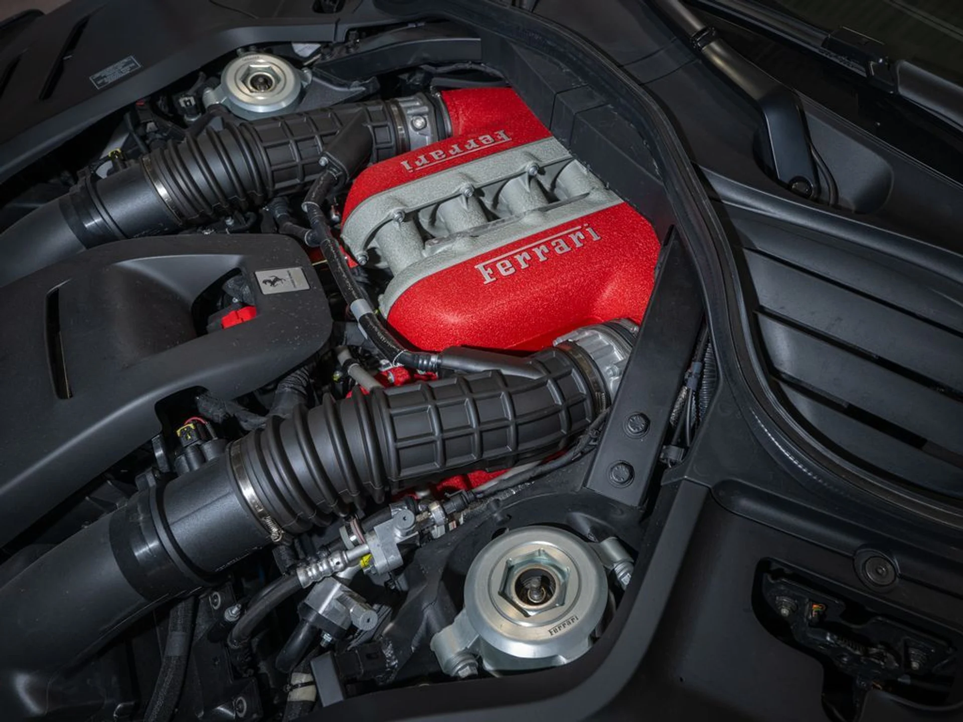 mph029_2331392570_12b7d5ff_1204_41b3_8f28_84a7cdde8eaf_e16d4e6ee8