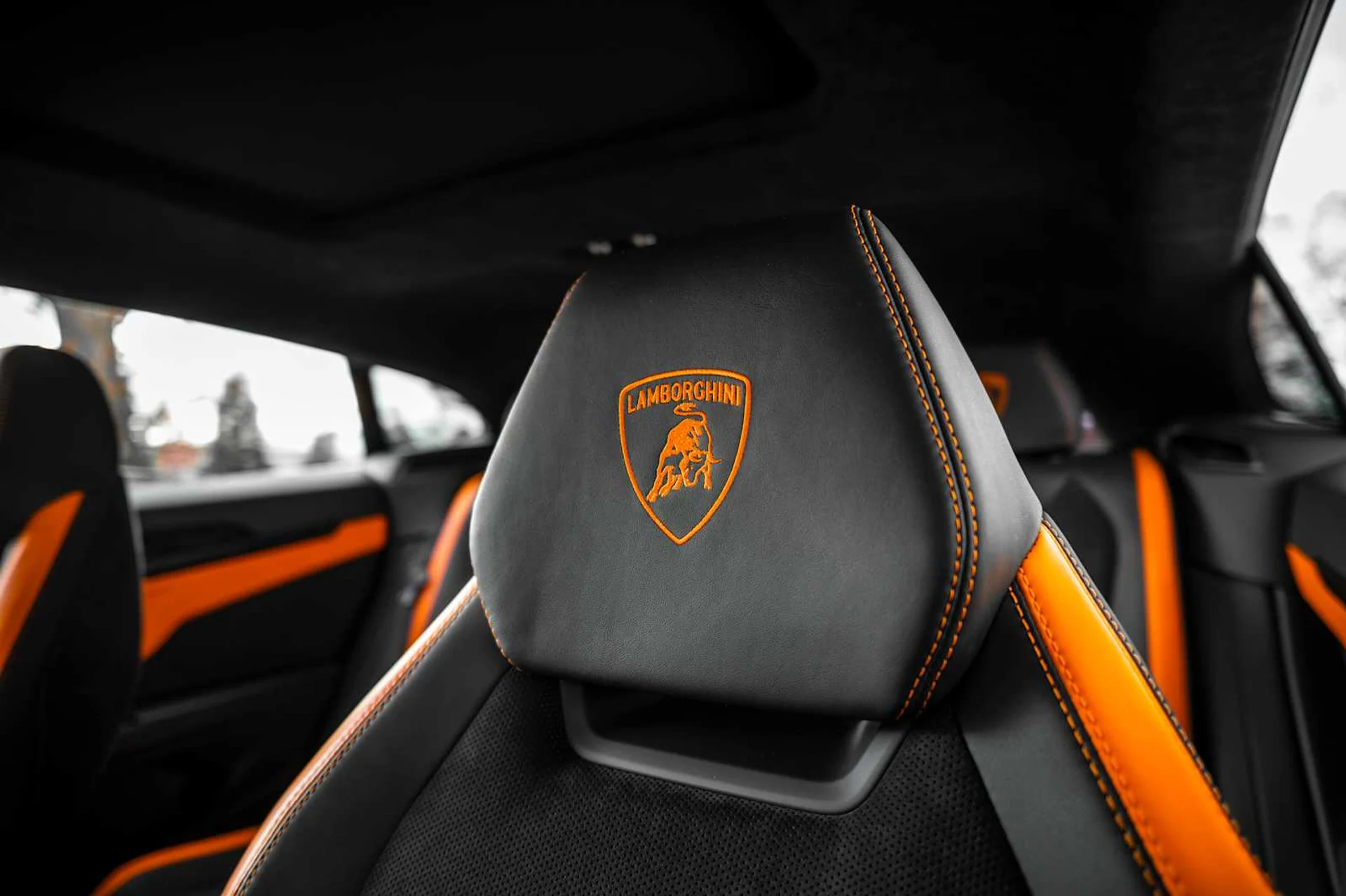 mph029_2415829520_a604d0a34832ab2e534ac2ffe93347fax_9bf79af35f