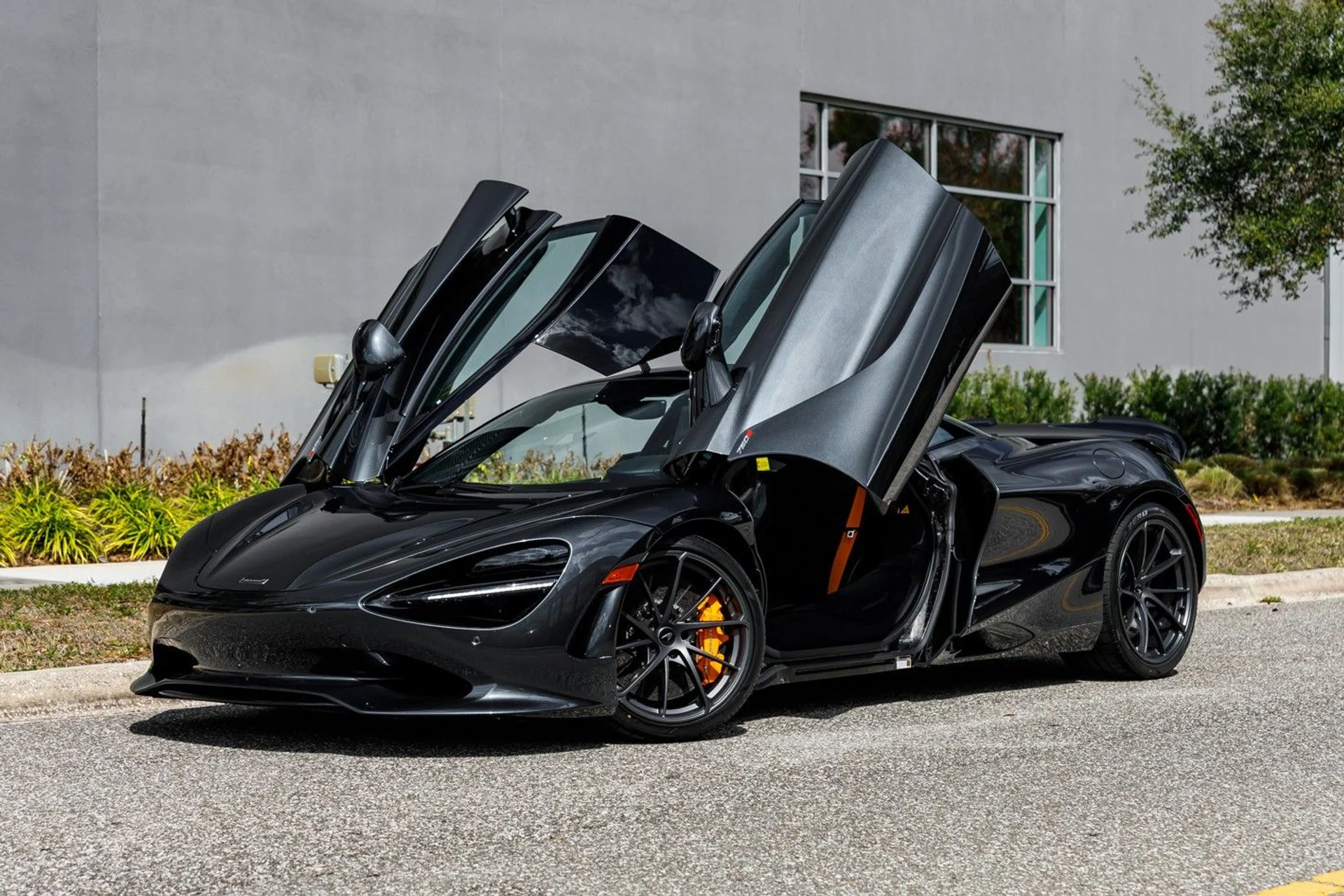 mph029_2450730083_655_p30_l_4fc01c4f0f