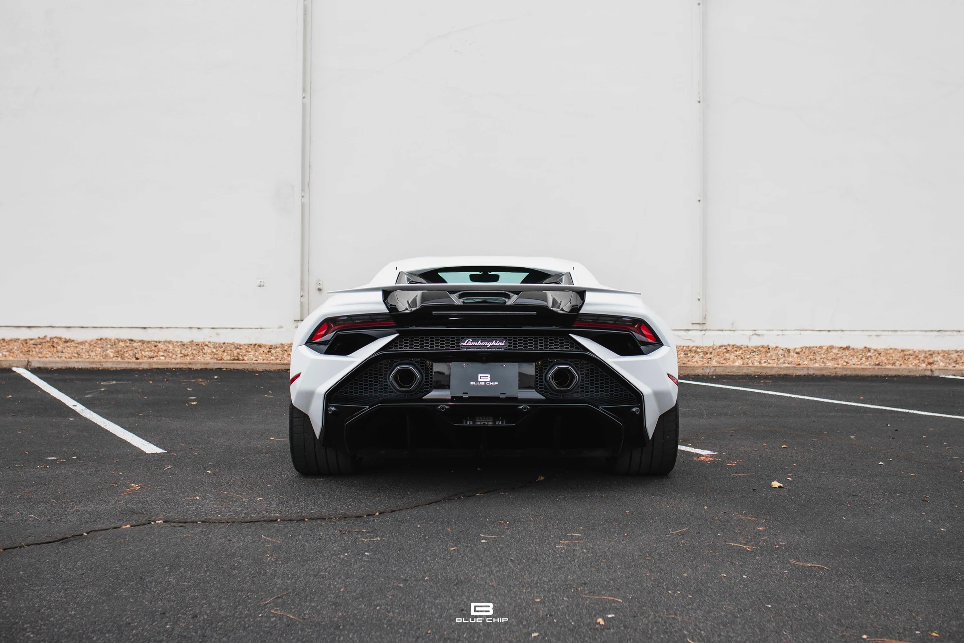 mph029_2462404795_69cefbb6679a37cd7de196f4_93_A2951_3ce5e192a1