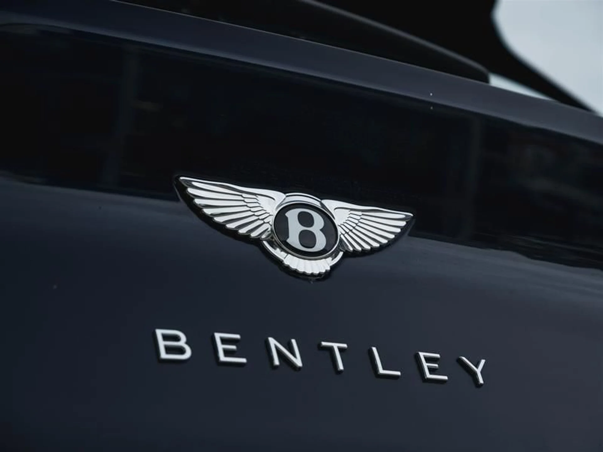 mph029_250851672_xd4lzlxv_6321730058