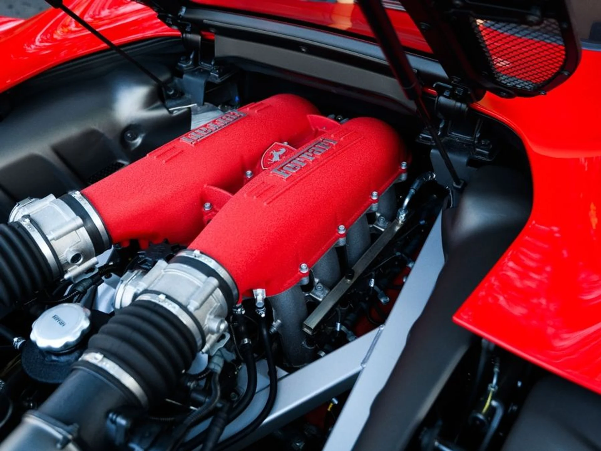 mph029_2658780540_e0007754_4ac0_48d9_a18a_6ae0107a52d9_14a5545ab3