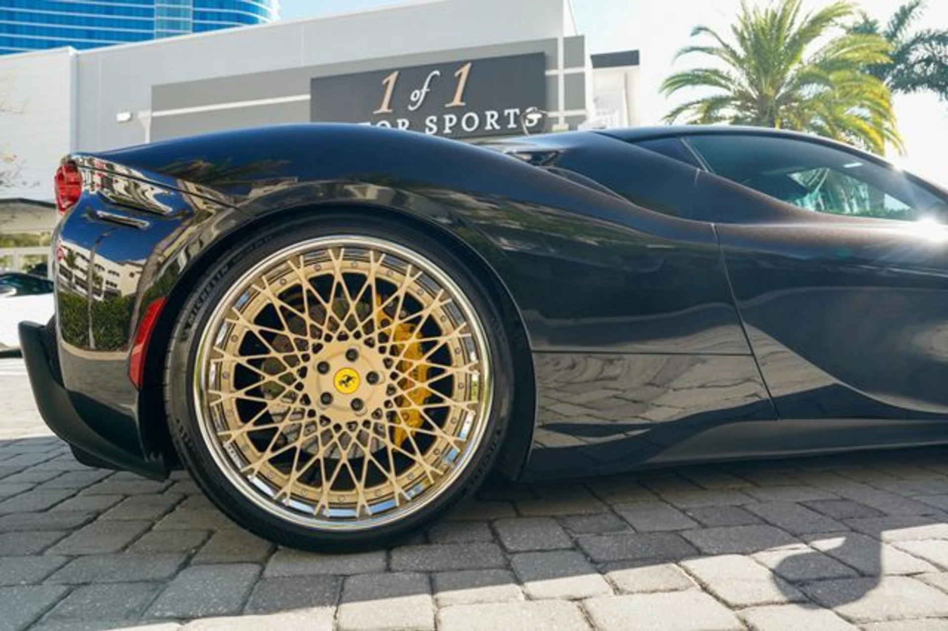 mph029_2781406101_22998025_30_65a9fbbfaa