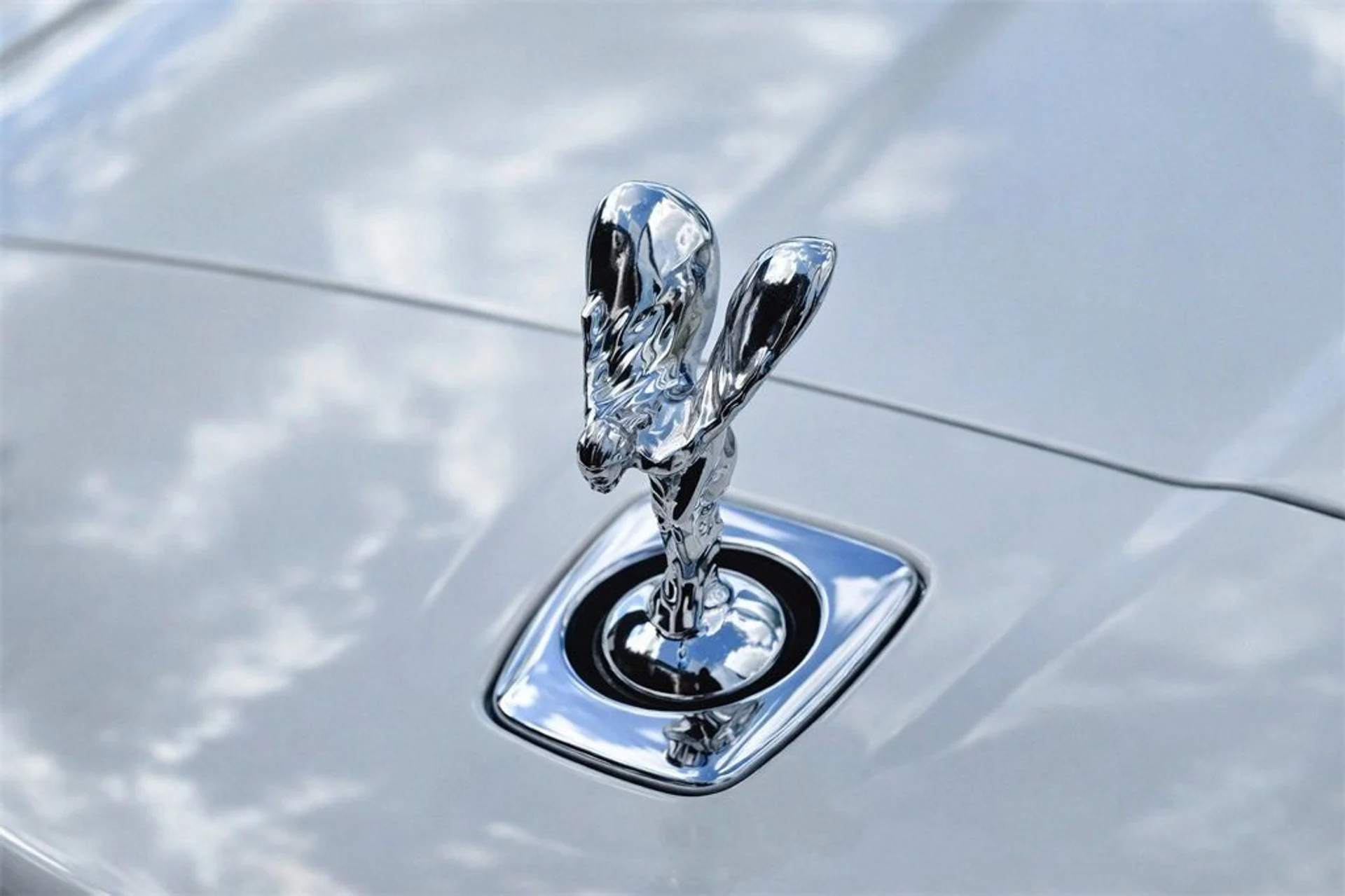 mph029_287836912_9ed90d0986912e6e1e79e8a523813e14_b631d6ce76