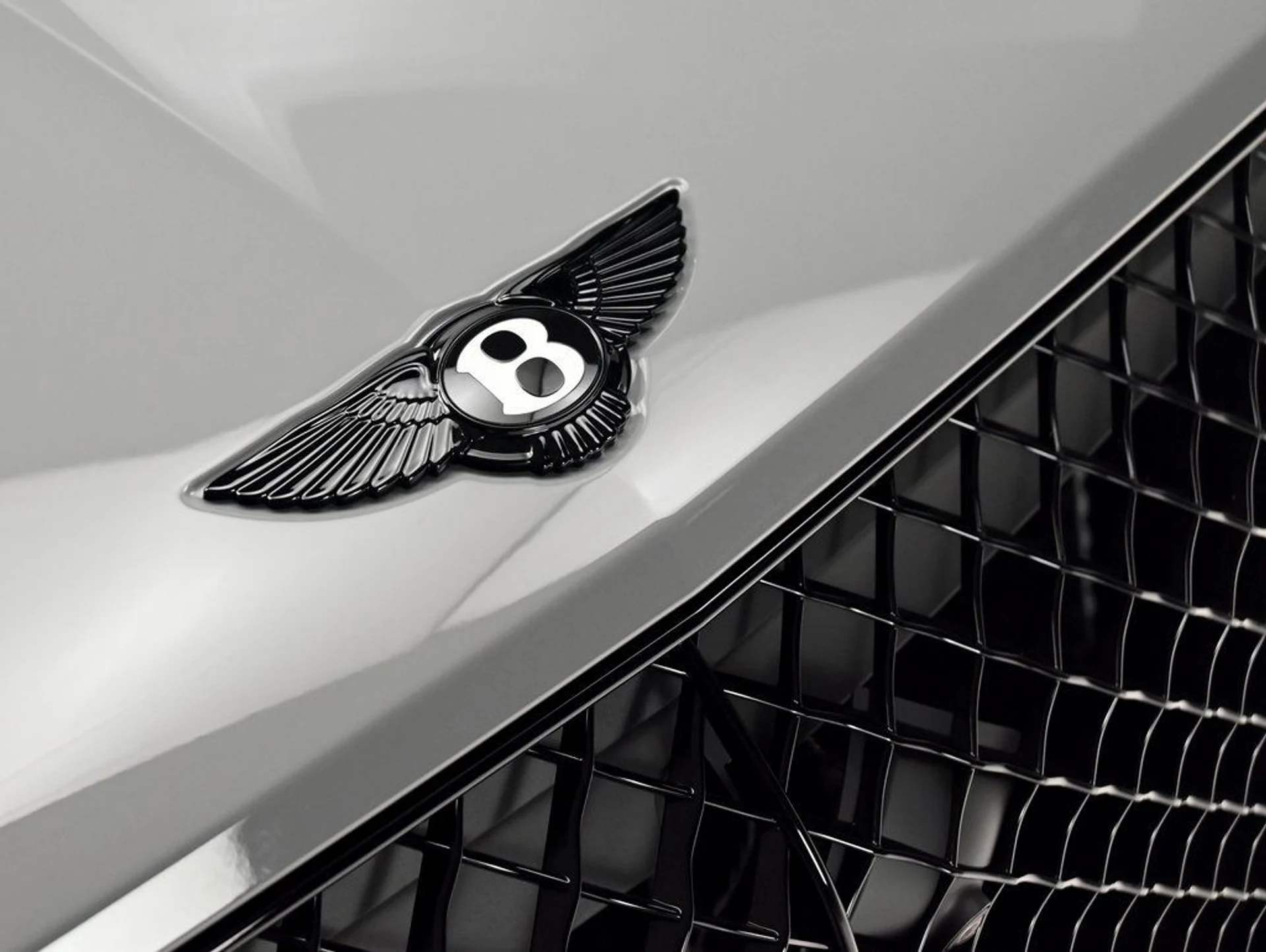 mph029_2929908582_ba9d804af062eebb1346ffce13d525b0_3e81ed65e0