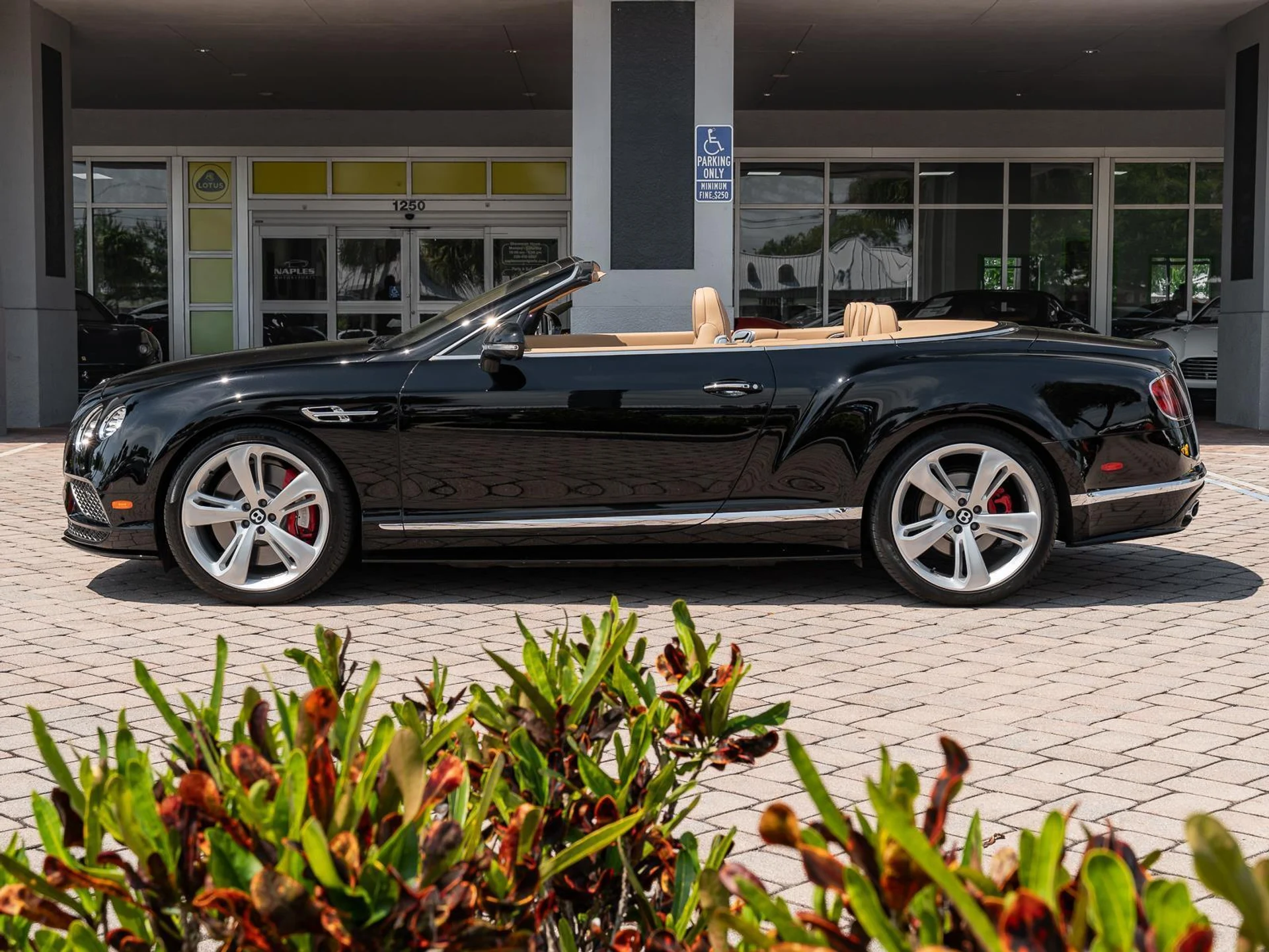 mph029_2963519773_Used_2016_Bentley_Continental_GT_Speed_1774476151_357ceaa797