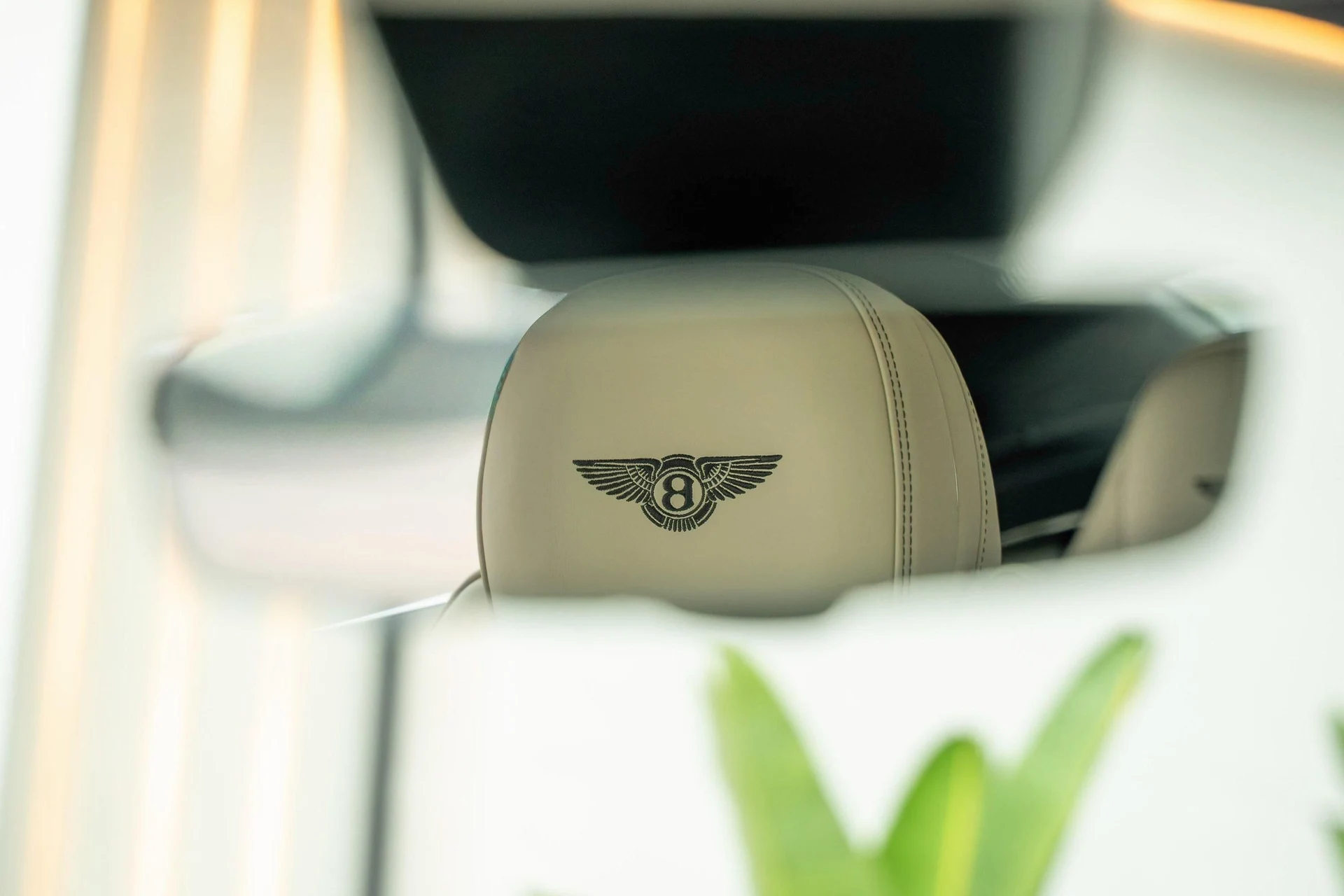 mph029_2969610309_477619928_6961e693d65fbc1ed22430e2_f936aeb93e