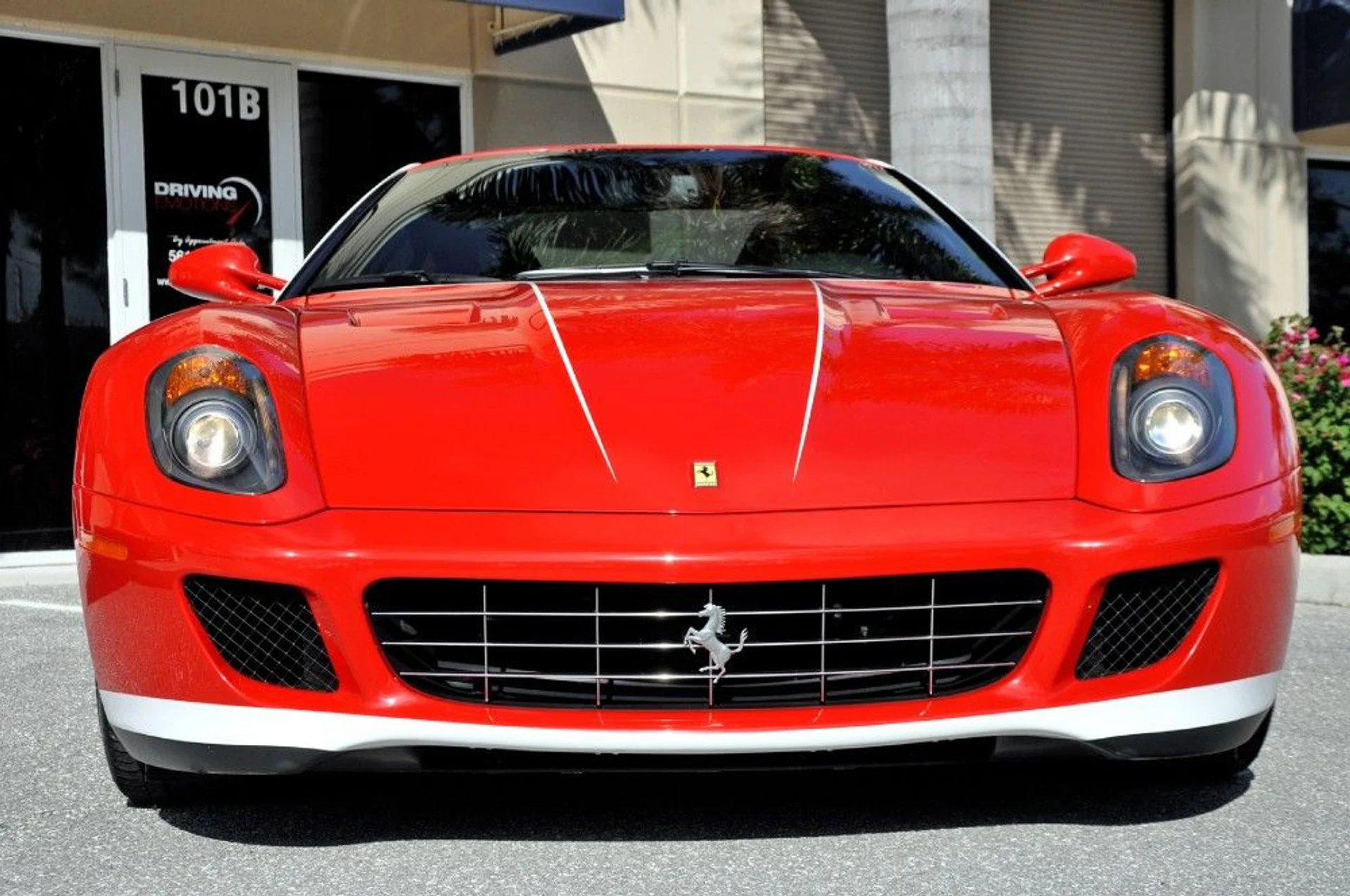 mph029_2993724994_13_p30_l_445c4ead7b