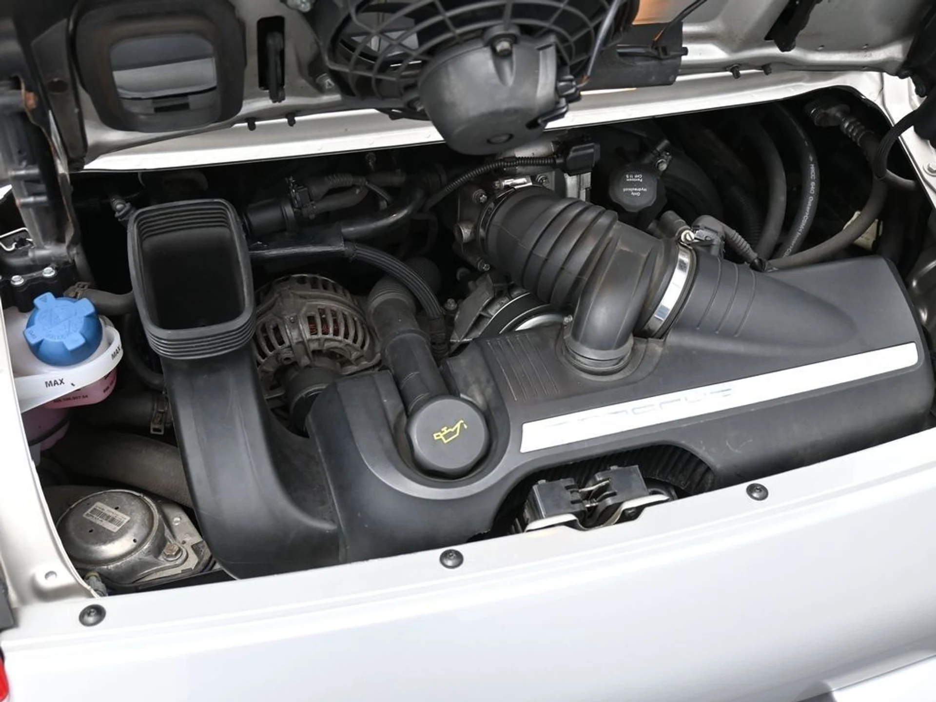 mph029_3032885791_5362e226f829a0a589c7db56eb528c31_0a916177de