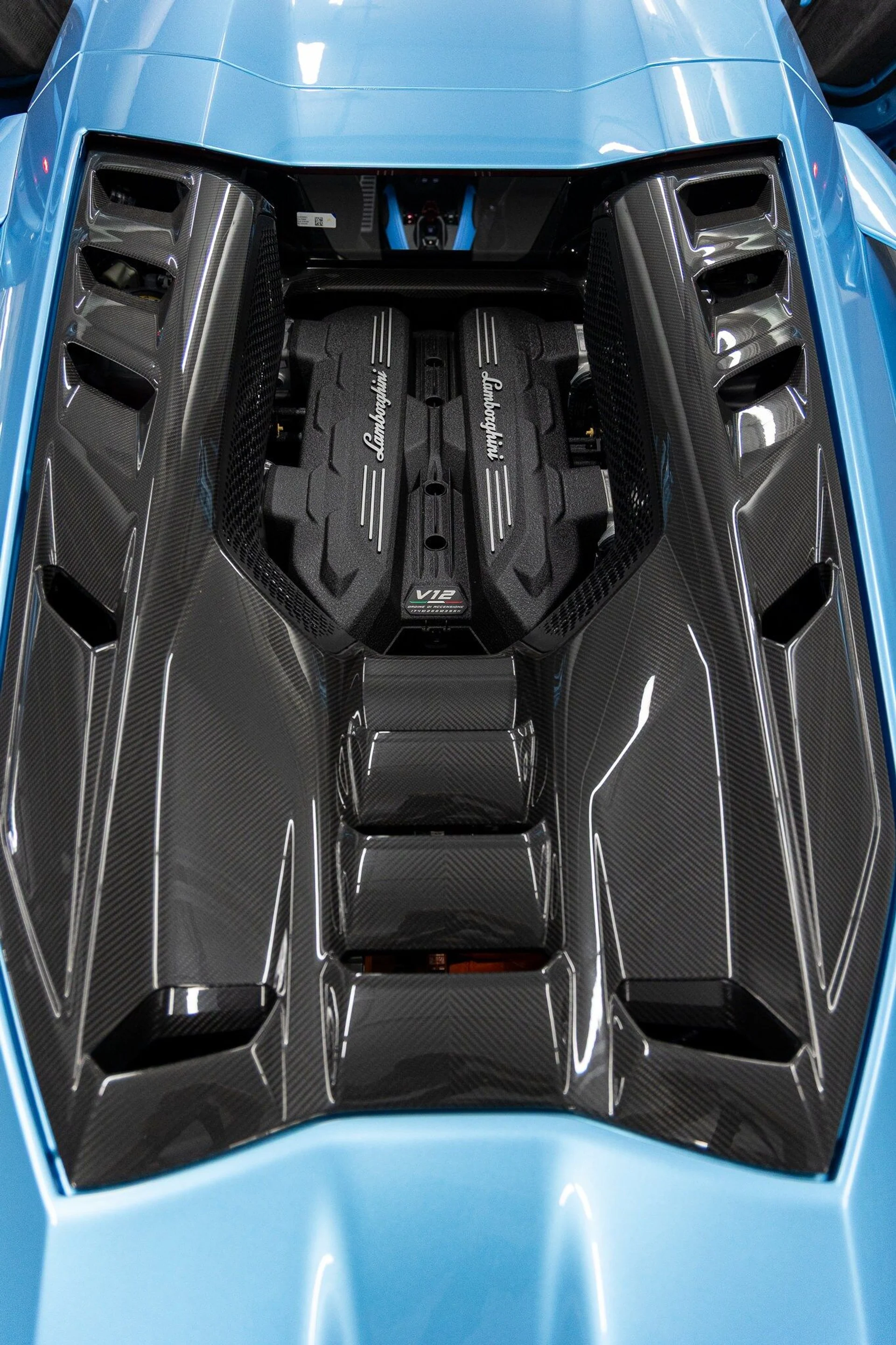 mph029_3103156335_ea2e8bb41efd92e69c4aa9db49fb8928x_a15b4de3fd