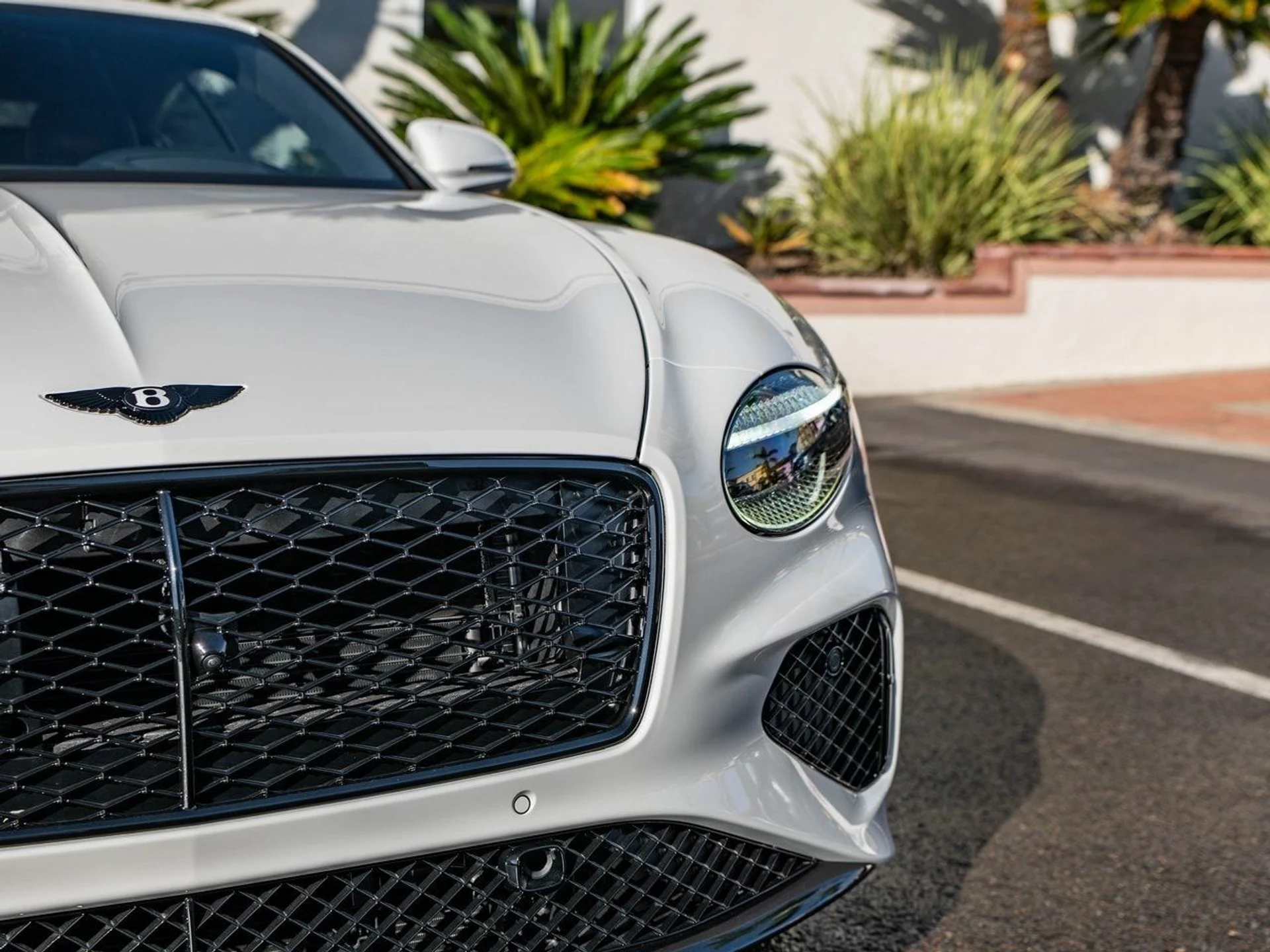 mph029_3288411924_6a65a57a73adb3fd7721bc958ee34ac6x_8f50a13893