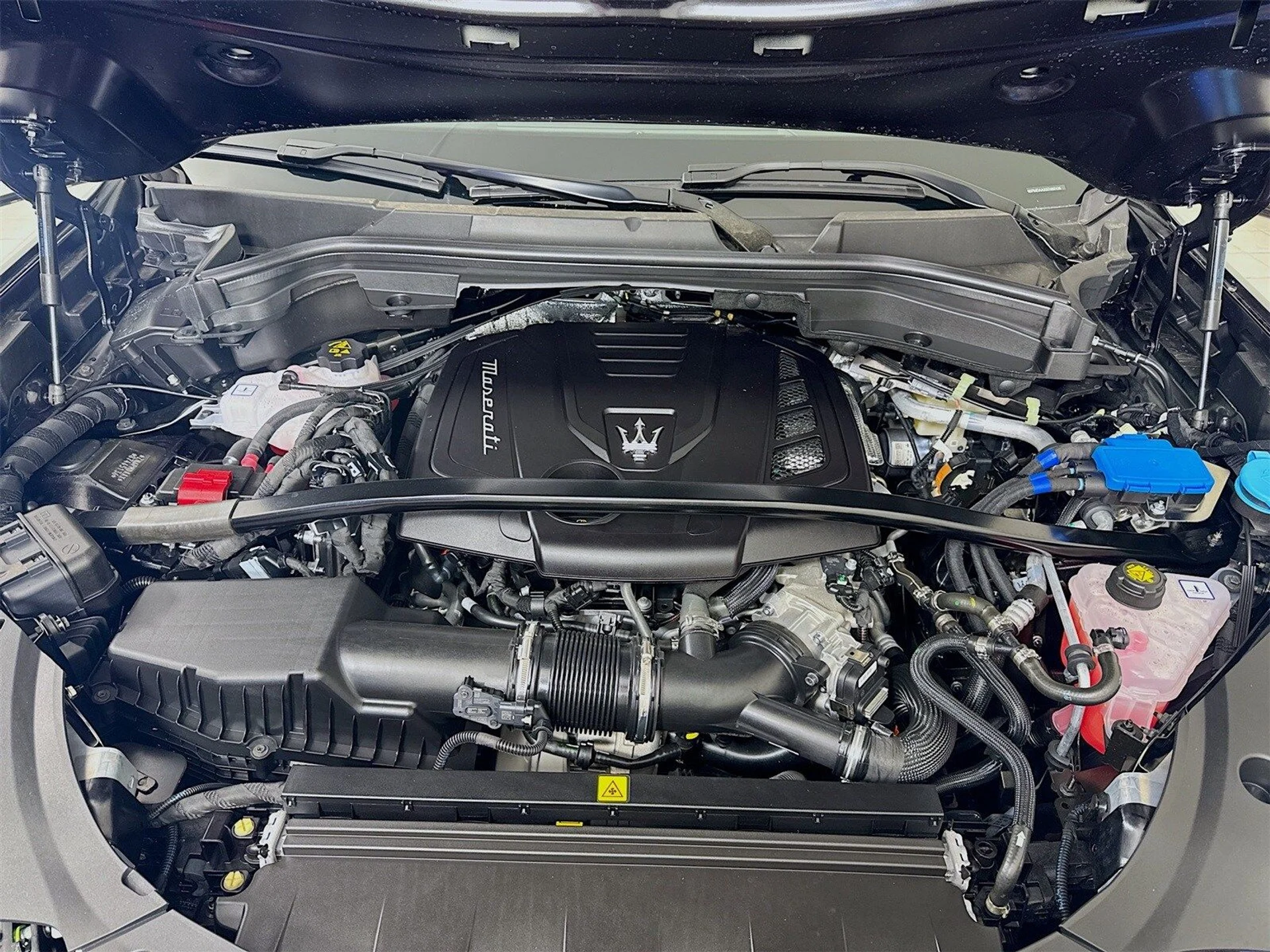 mph029_3289702457_060985ab75da1a4164eaa14621b39880x_c4ece77dc8