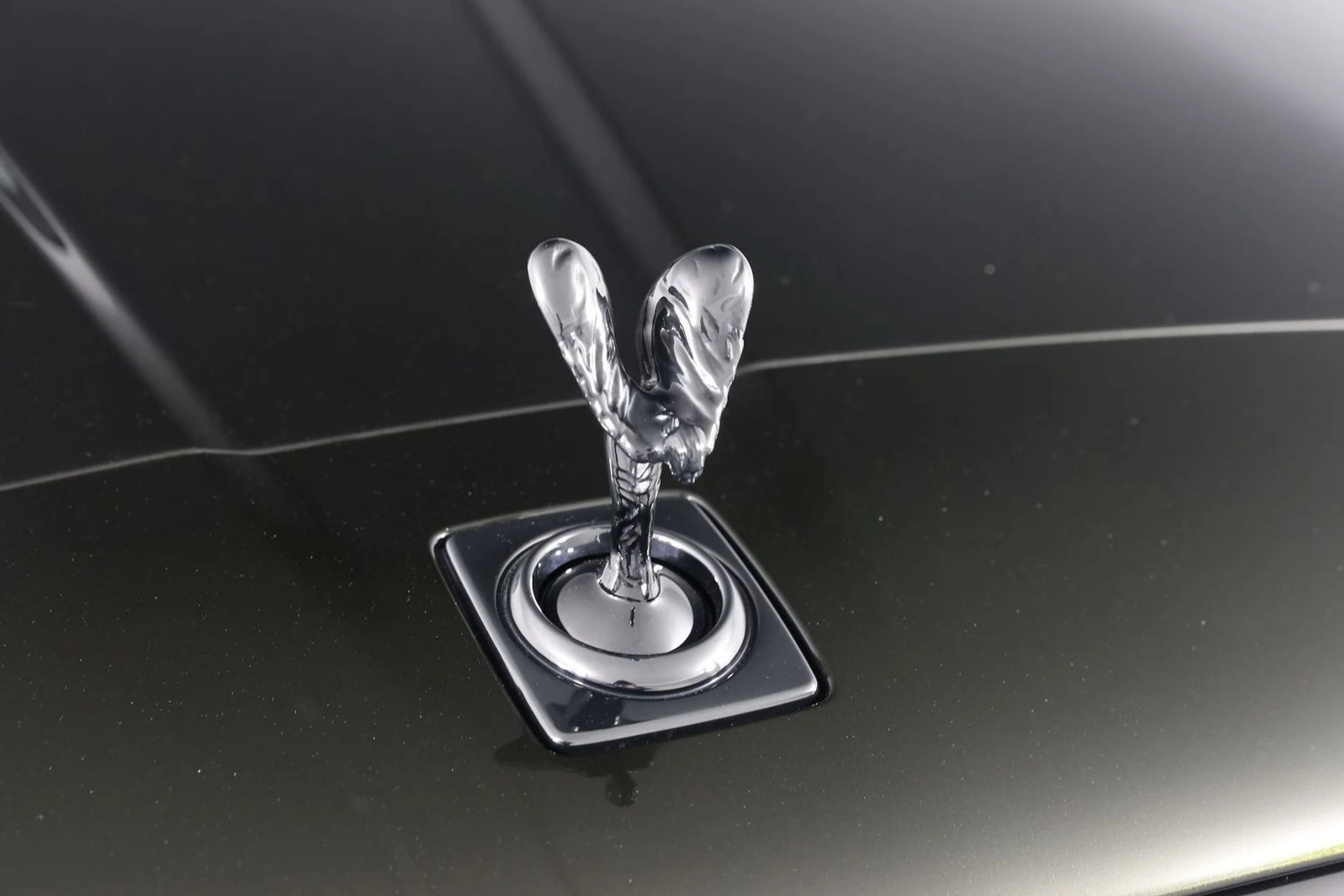 mph029_3316171069_03a49f196f5ce27b4d7a0d39091ef65a_323320622c