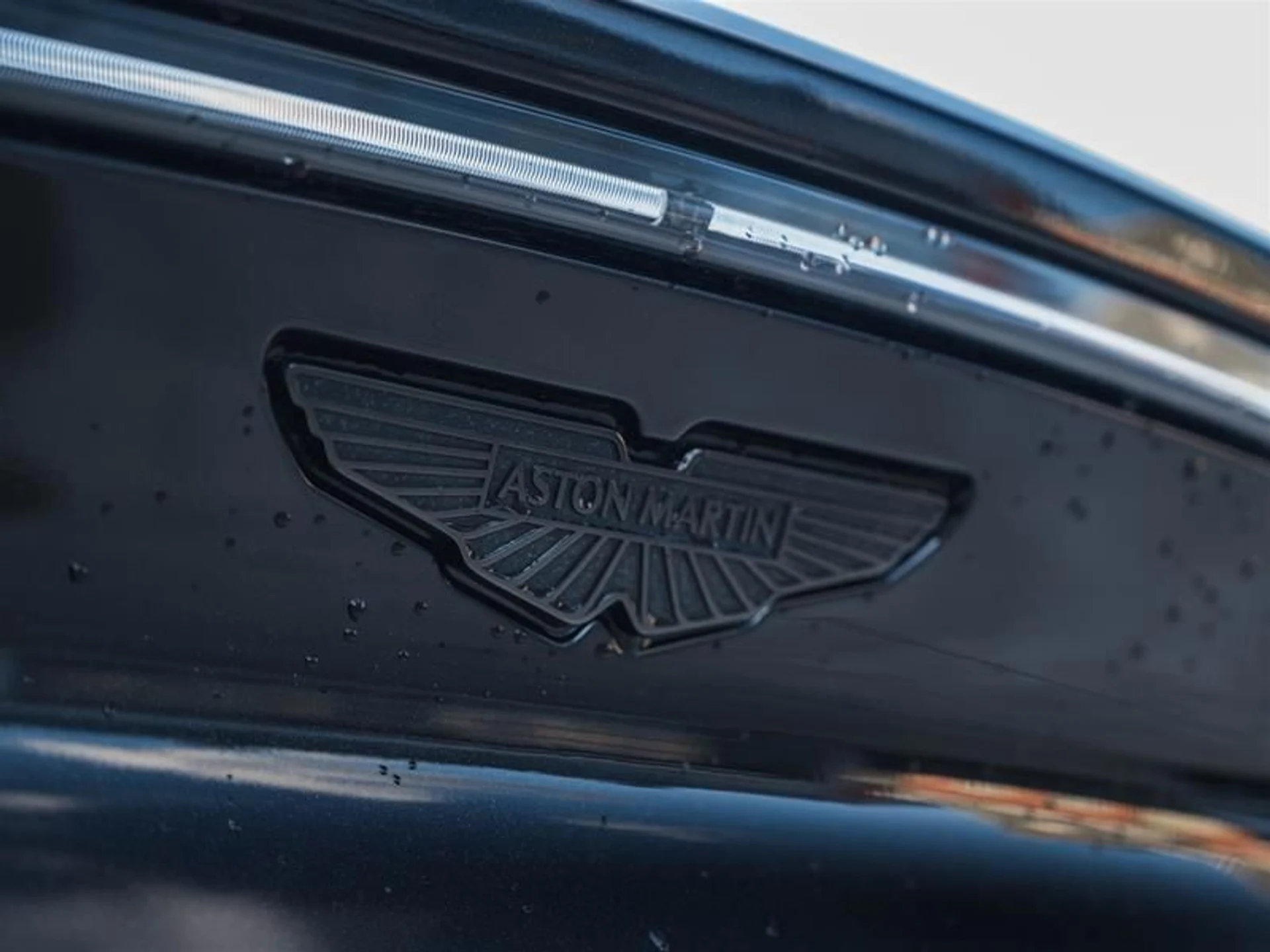 mph029_3379146288_0o2tm05z_8a0aed7077