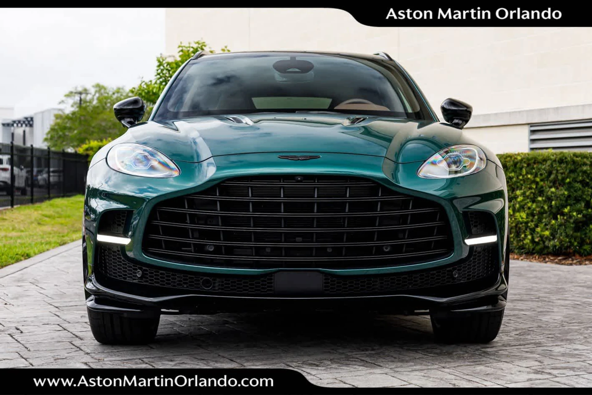 mph029_3526458828_30_47019a66c6