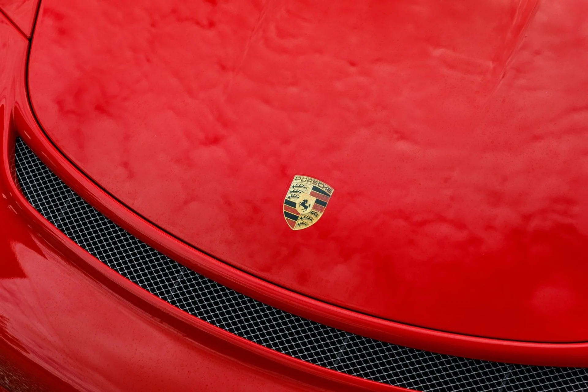 mph029_3775690591_661_p30_l_aafee4616b