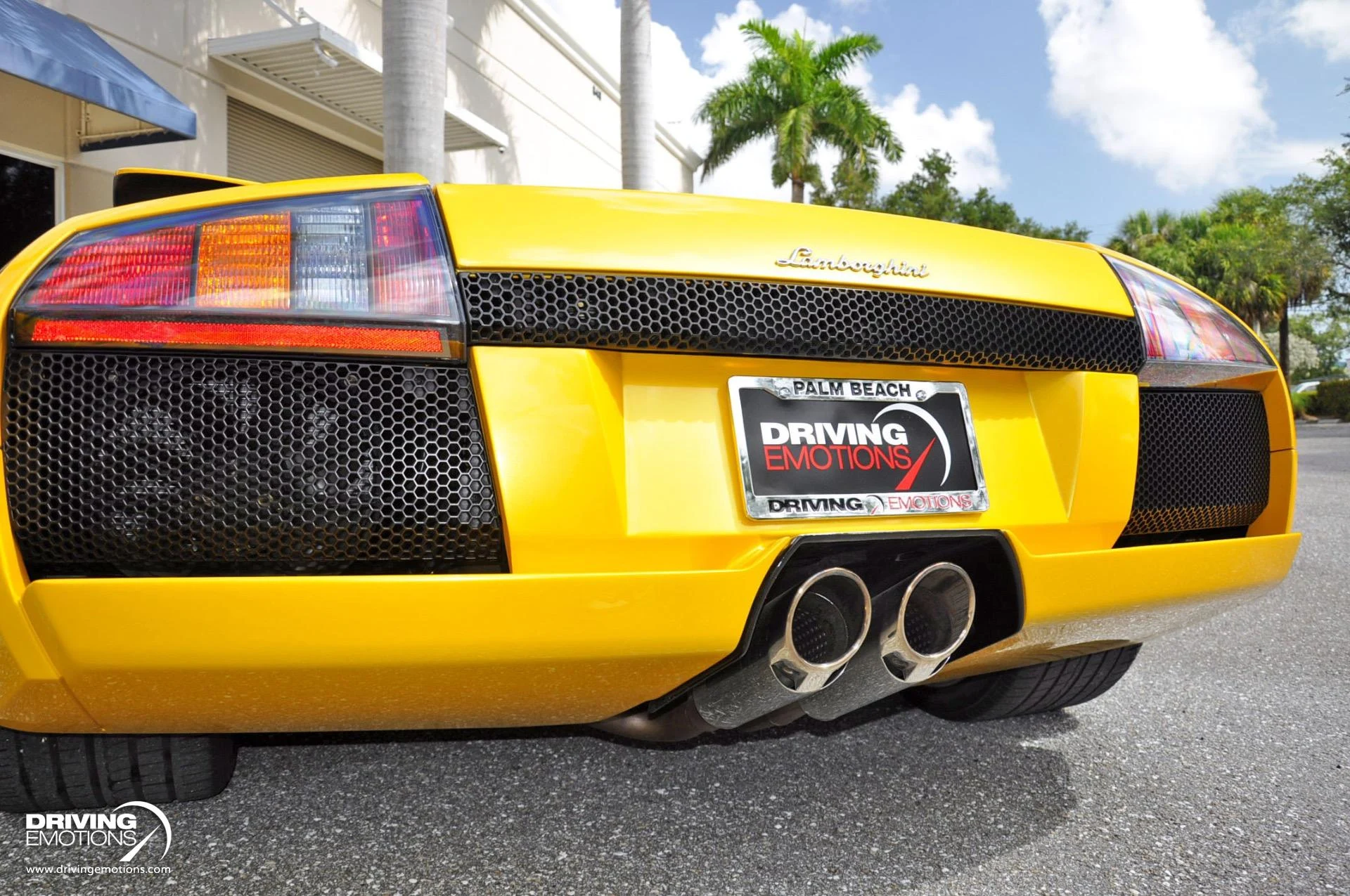 mph029_3952679116_862_p30_l_843eea81ca