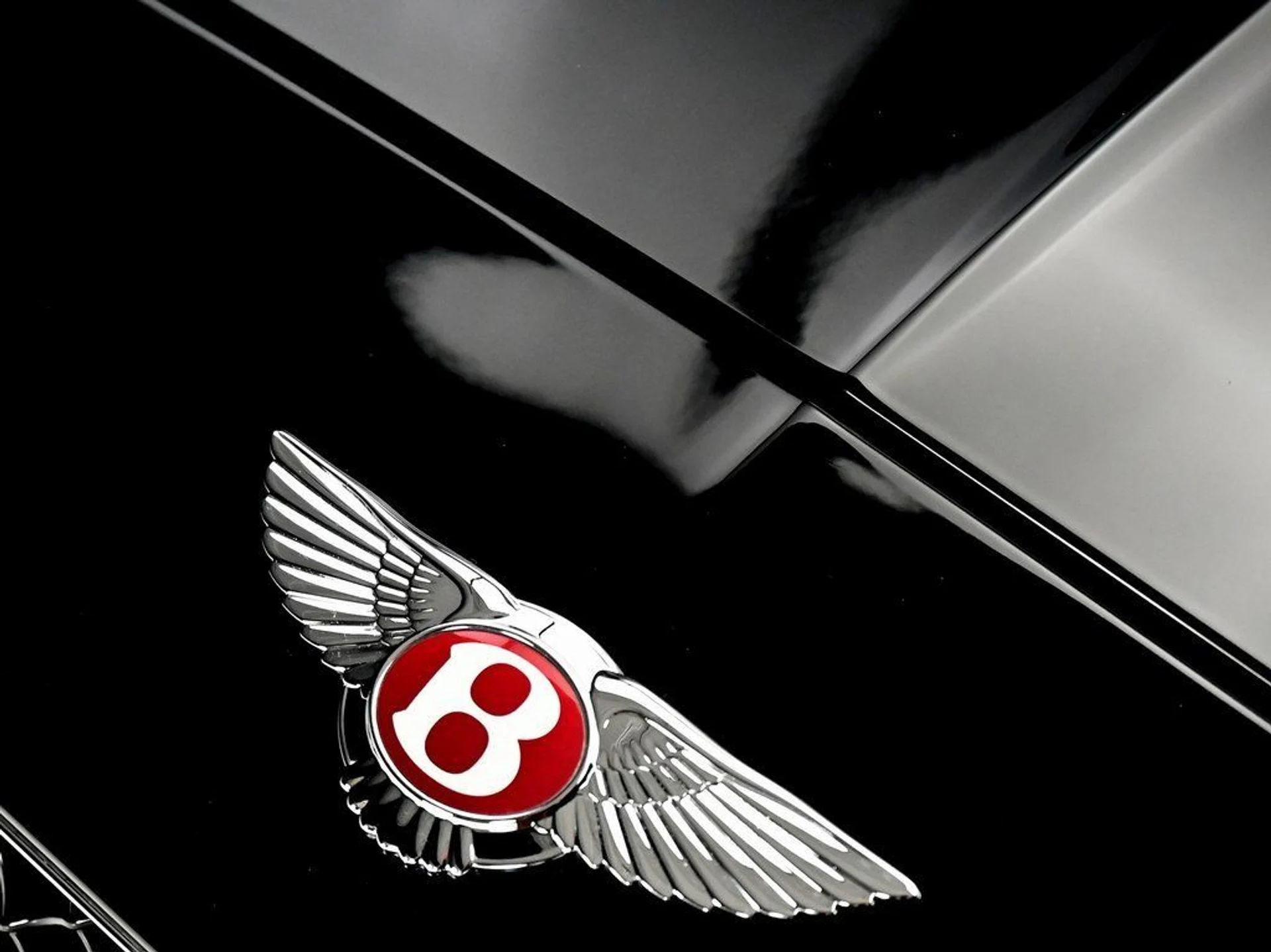 mph029_40288912_756fa1167be88b22c2d18e10f1653ed7_fb339812a0