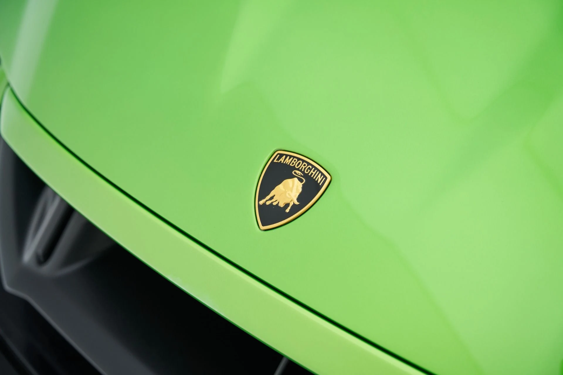 mph029_4067870698_Used_2024_Lamborghini_Huracan_STO_Base_1793231428_69882bdb89