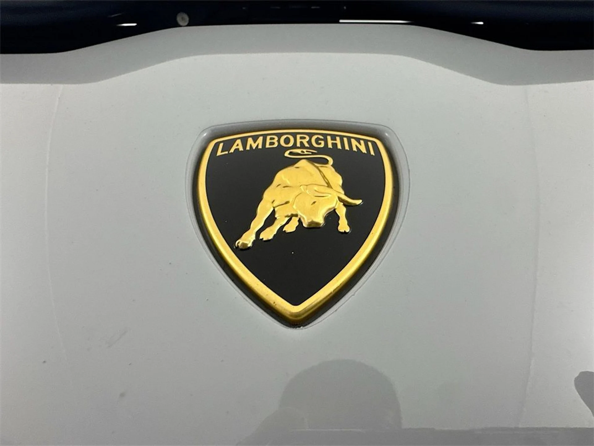 mph029_4076130373_988acd00c4e224f01c9ff11857d177ce_6f3c1a0777