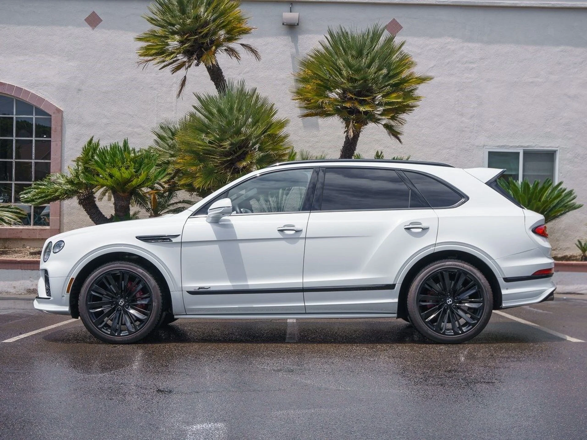 mph029_4086365824_552a7acfb2bc5029555b02ca1d2b64e8x_f384aff344