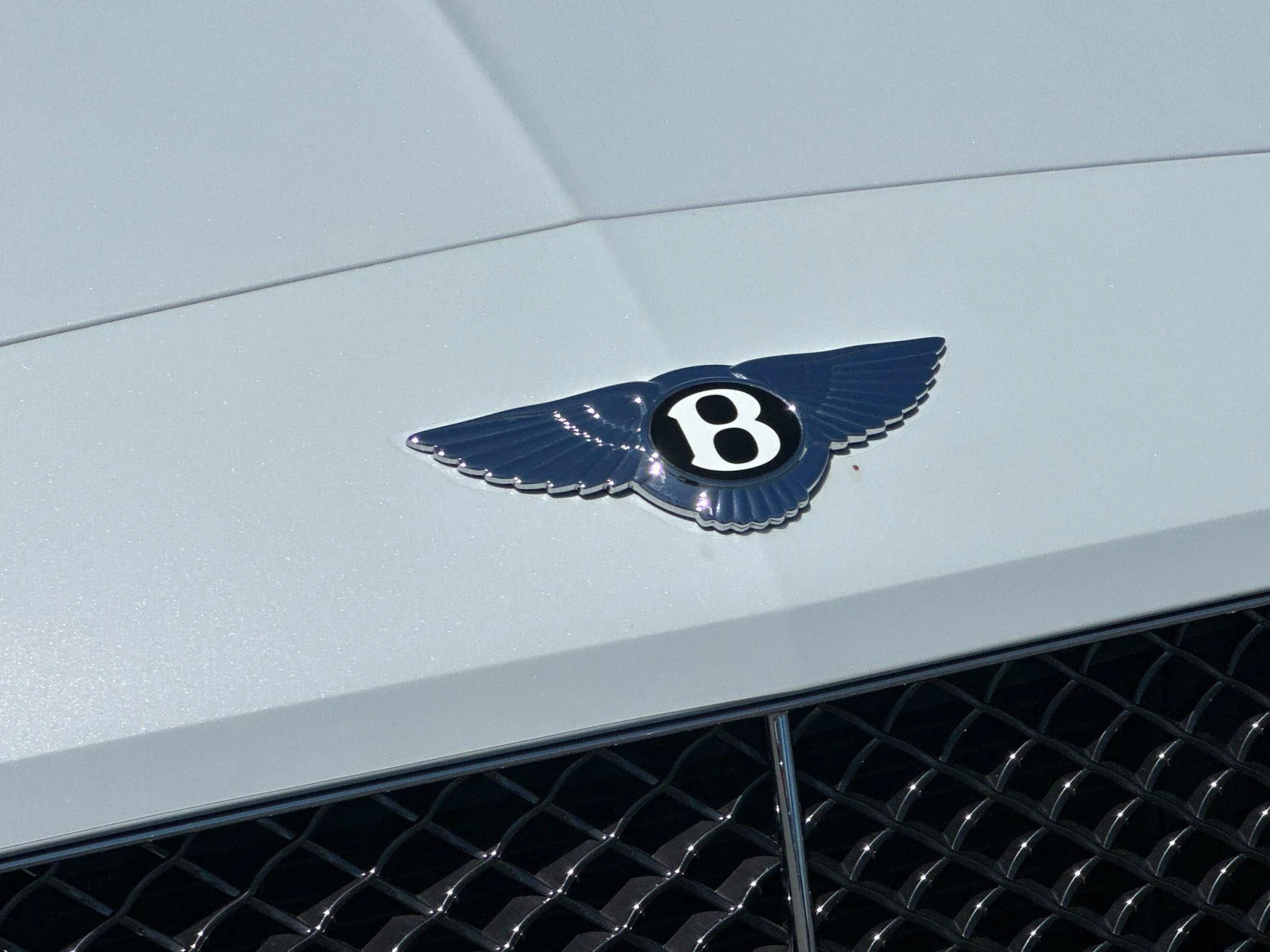 mph029_4206702063_Used_2014_Bentley_Continental_GTC_Speed_1784105485_15b475d4ea