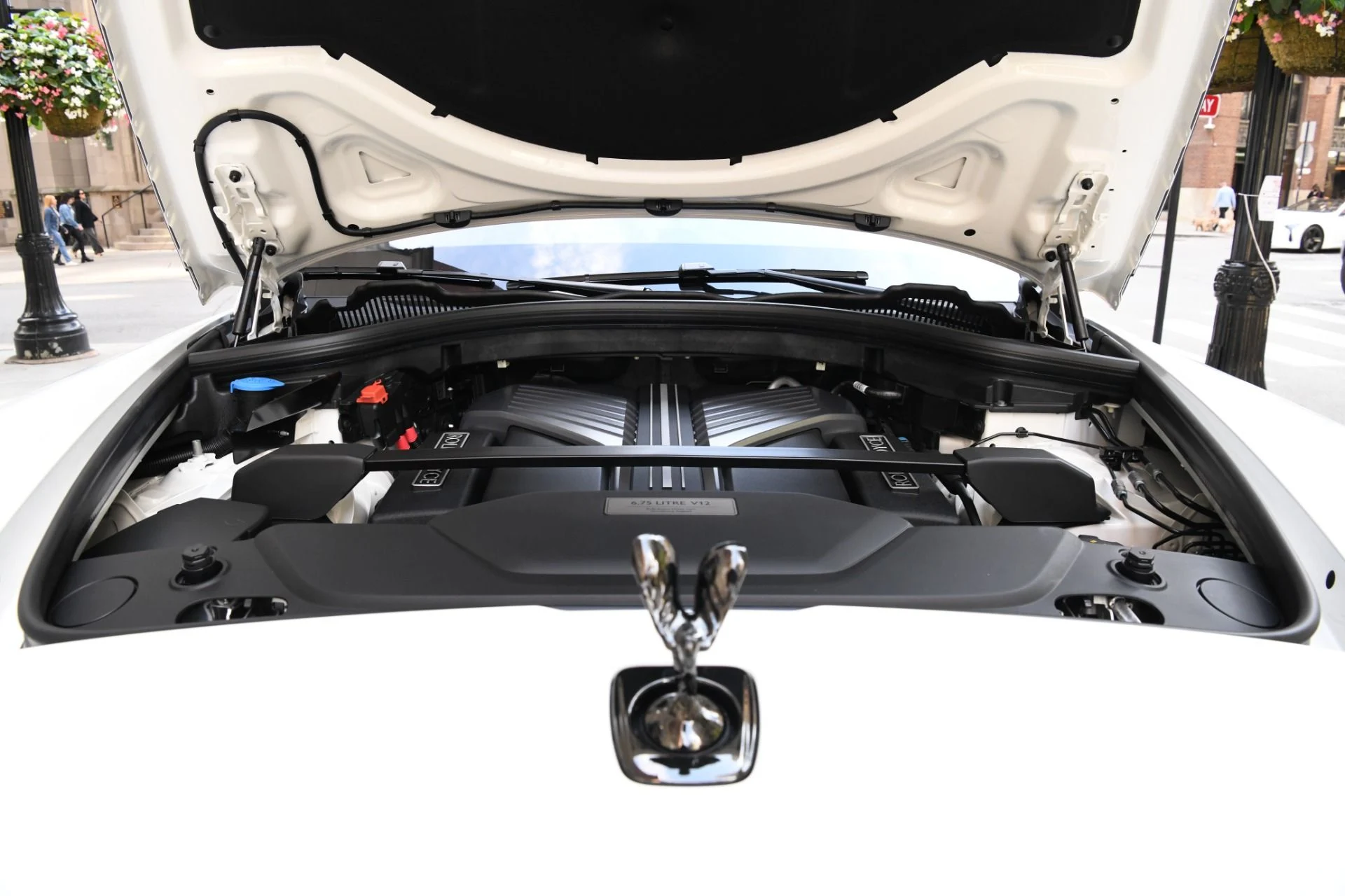 mph029_4226091769_11925_p31_l_d6fc40a58c