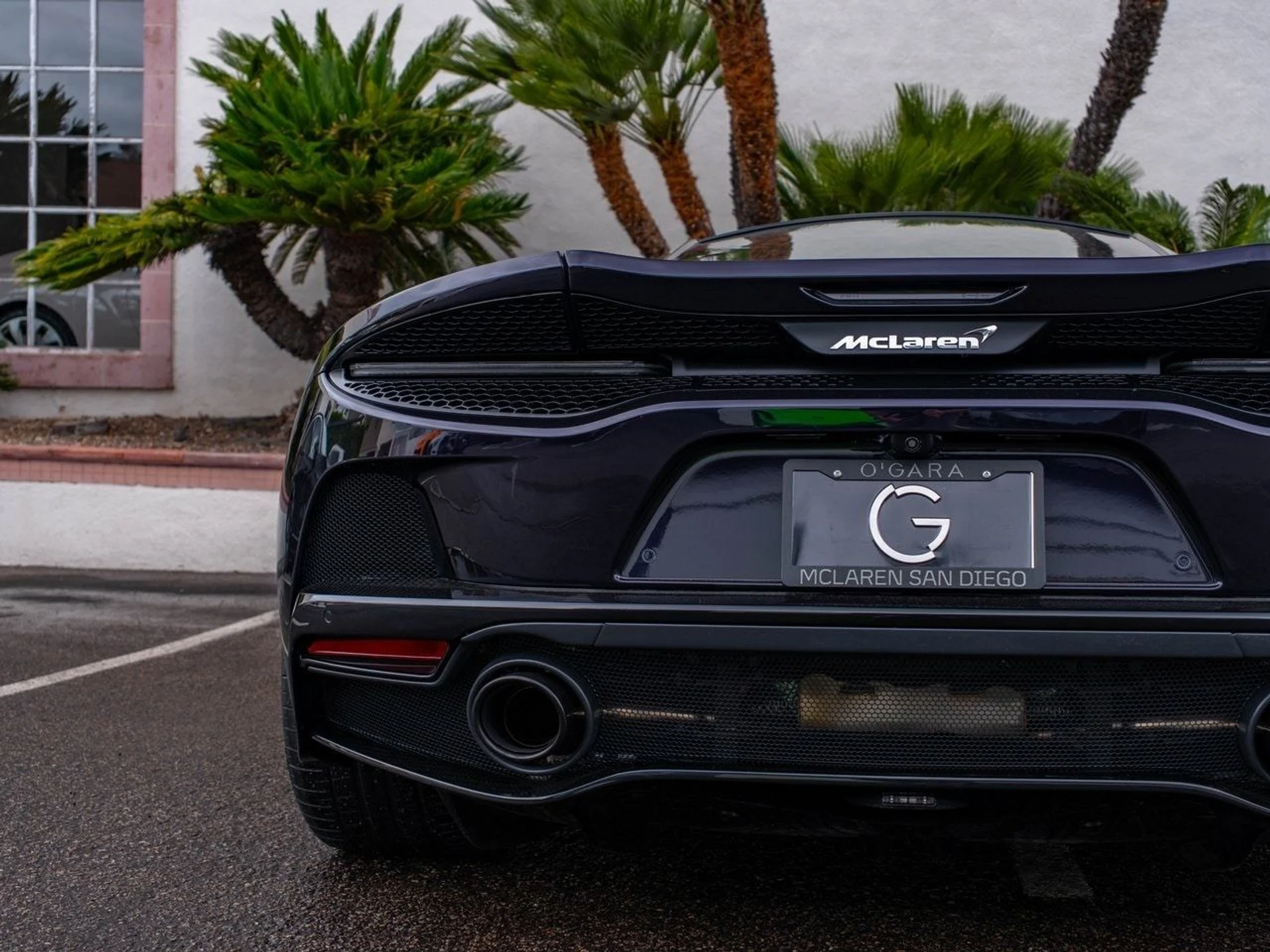 mph029_4238086617_f9bd2bf3c4ca086a330f5defd8faa89cx_8713110f8c