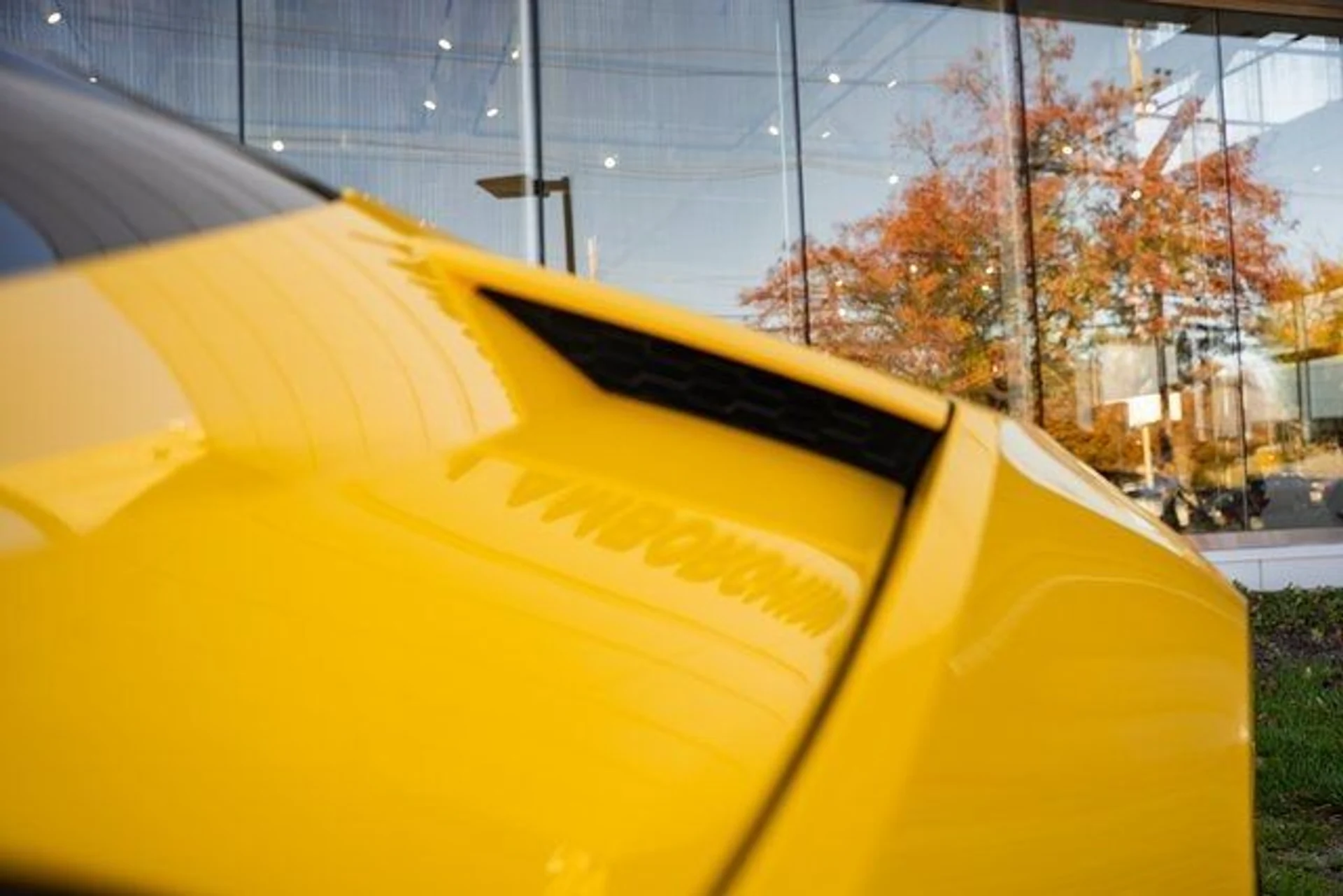 mph029_4252580803_0e39ad3f58c36d8e24cff2106af91fd7_88976fc0c8