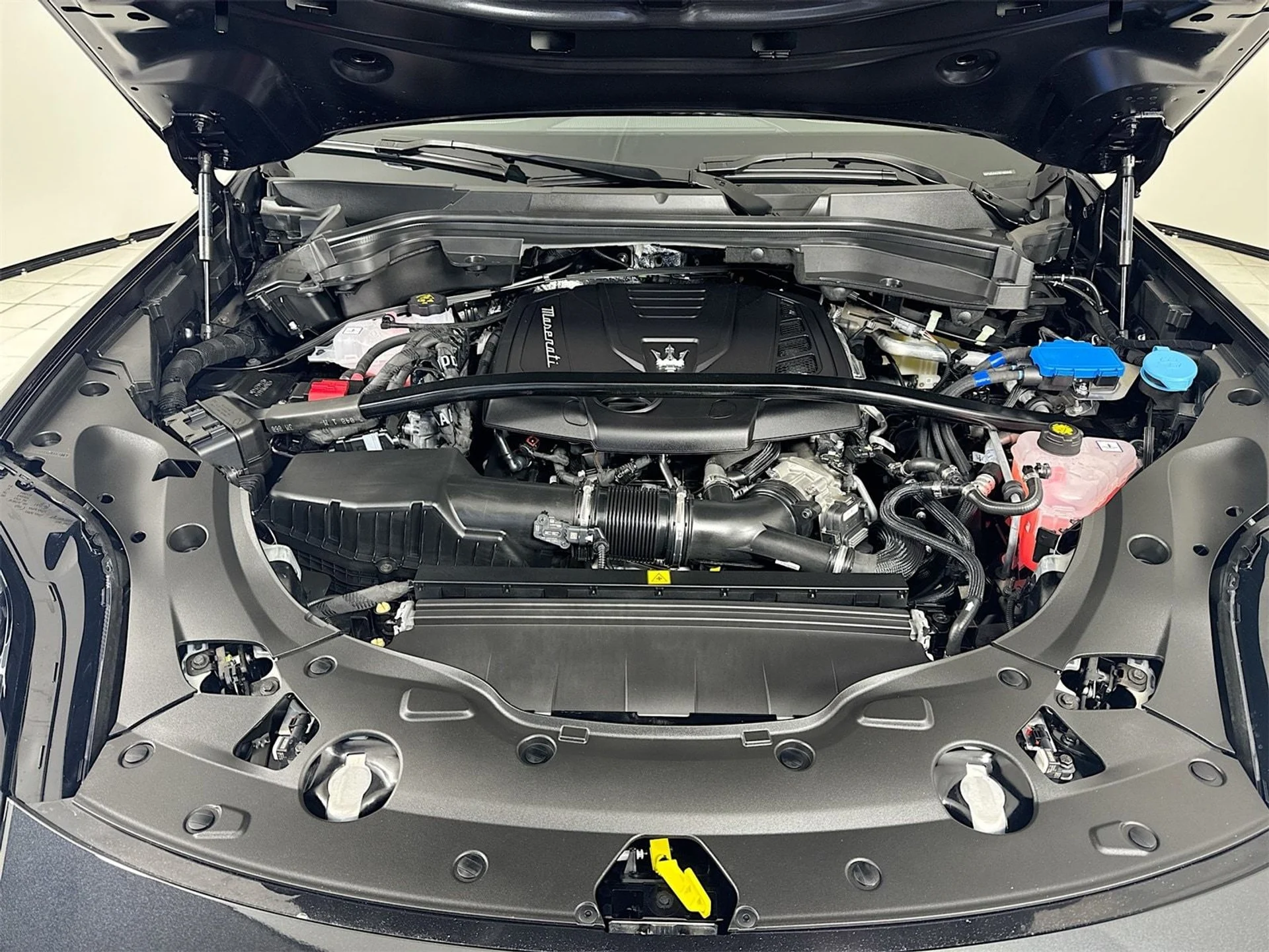 mph029_4292689086_4365e4179e0fbef5a1eab1c27fdfb83ex_f6d067fa6a