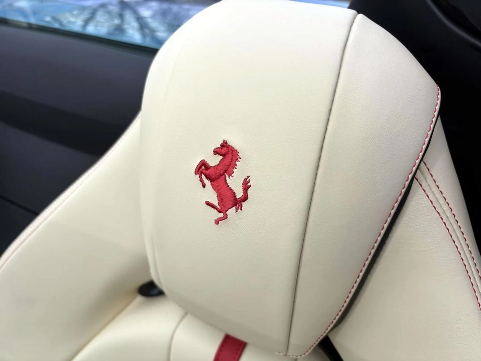 mph029_483576042_7412e482d8b3e5b8bac6f8c158483056x_d90ce574bc