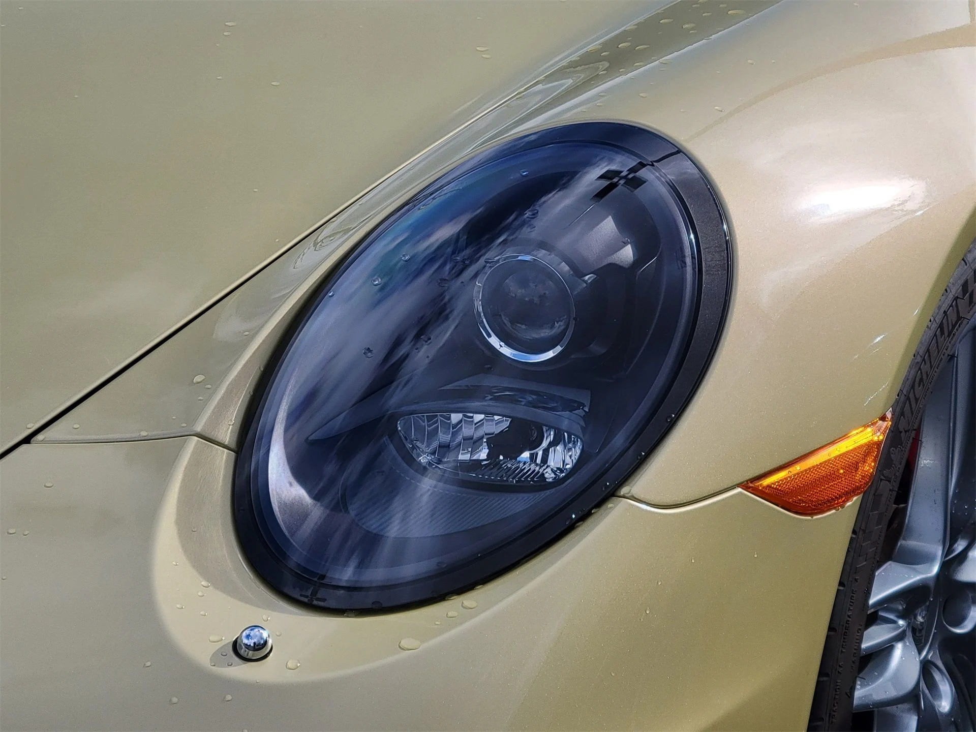 mph029_507596922_28026139da7231120f0eec262269965a_f6116cad18